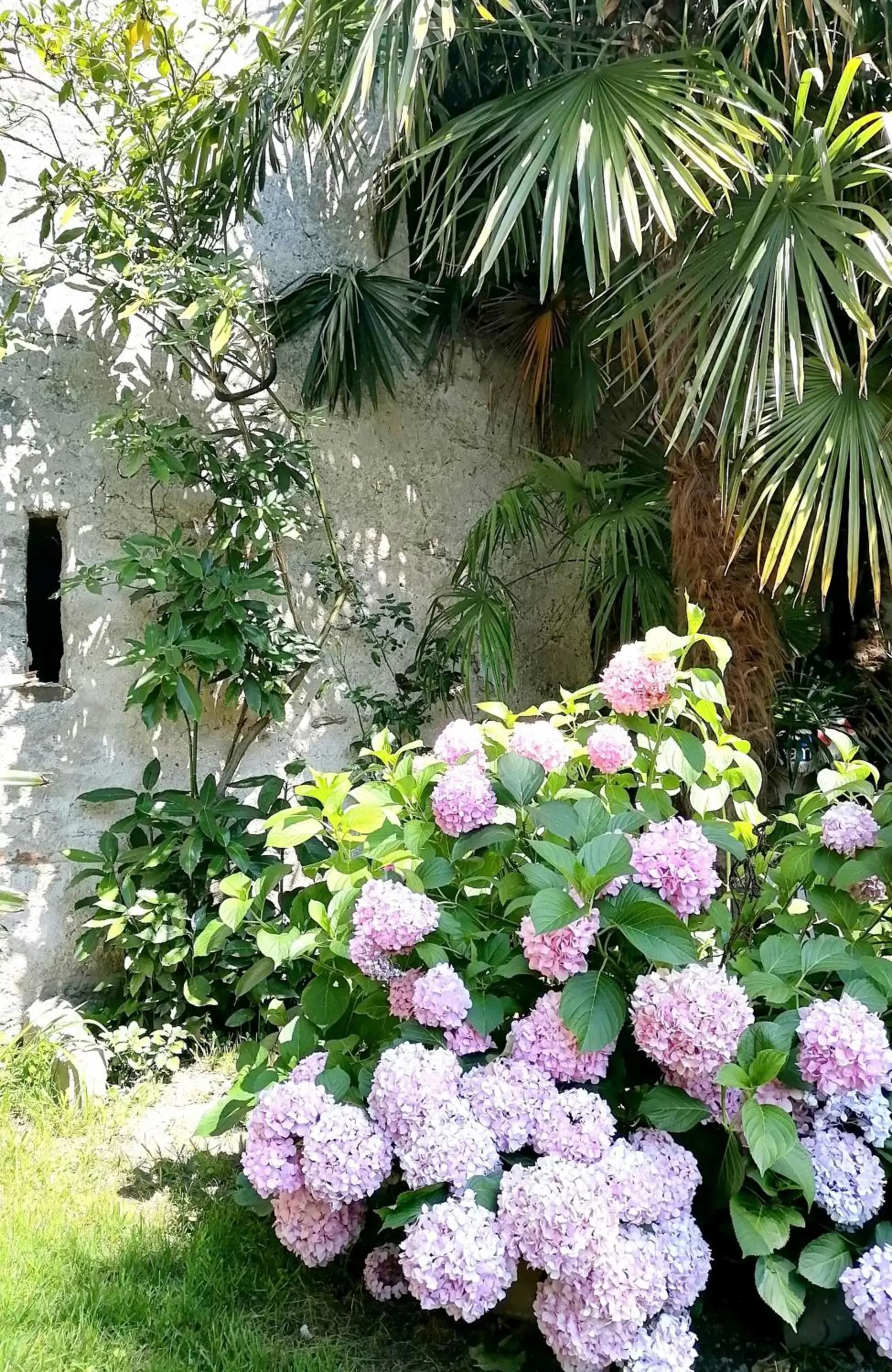 Garden in CASA BELGERI