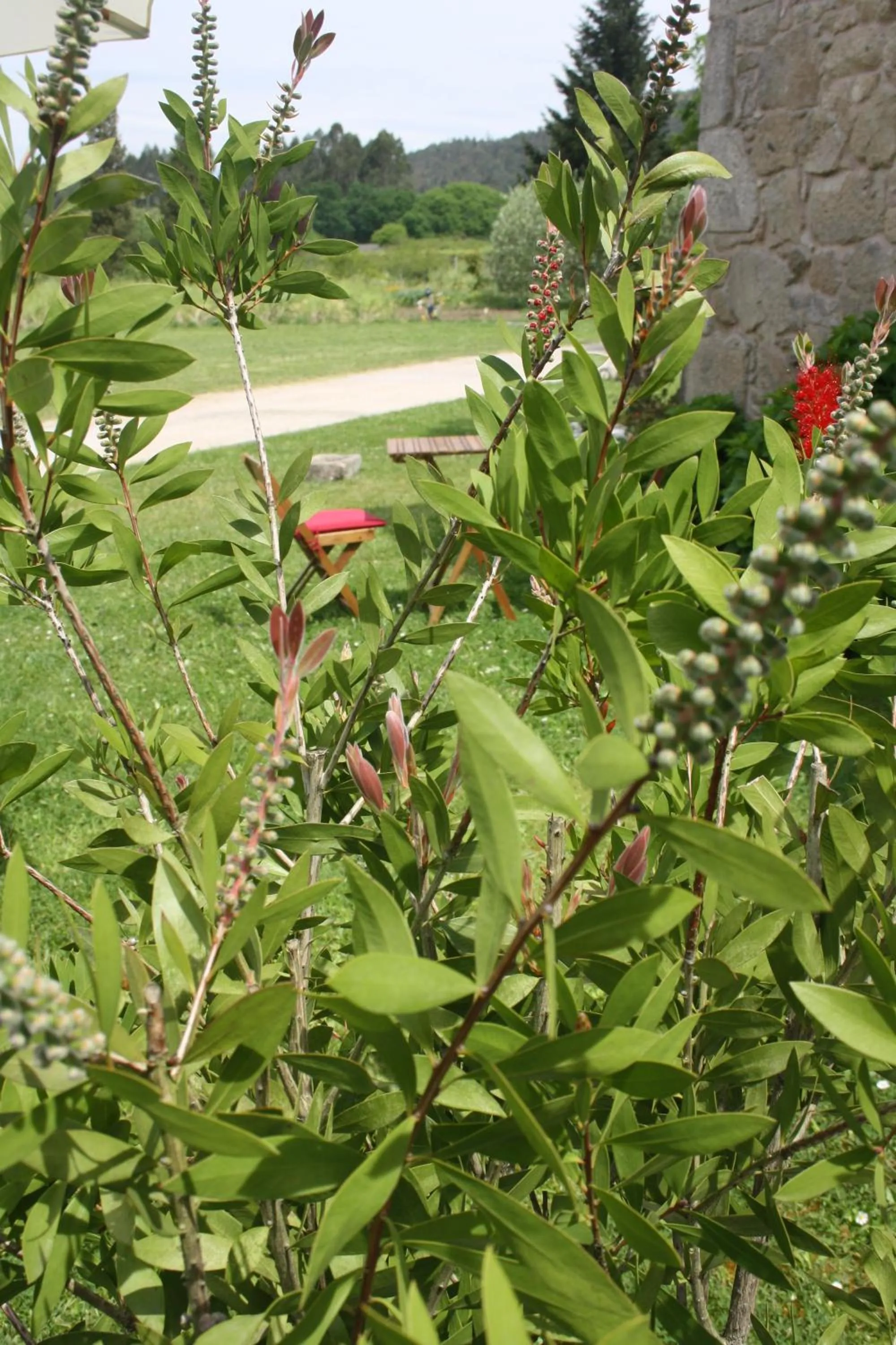 Garden in A Casa da Meixida