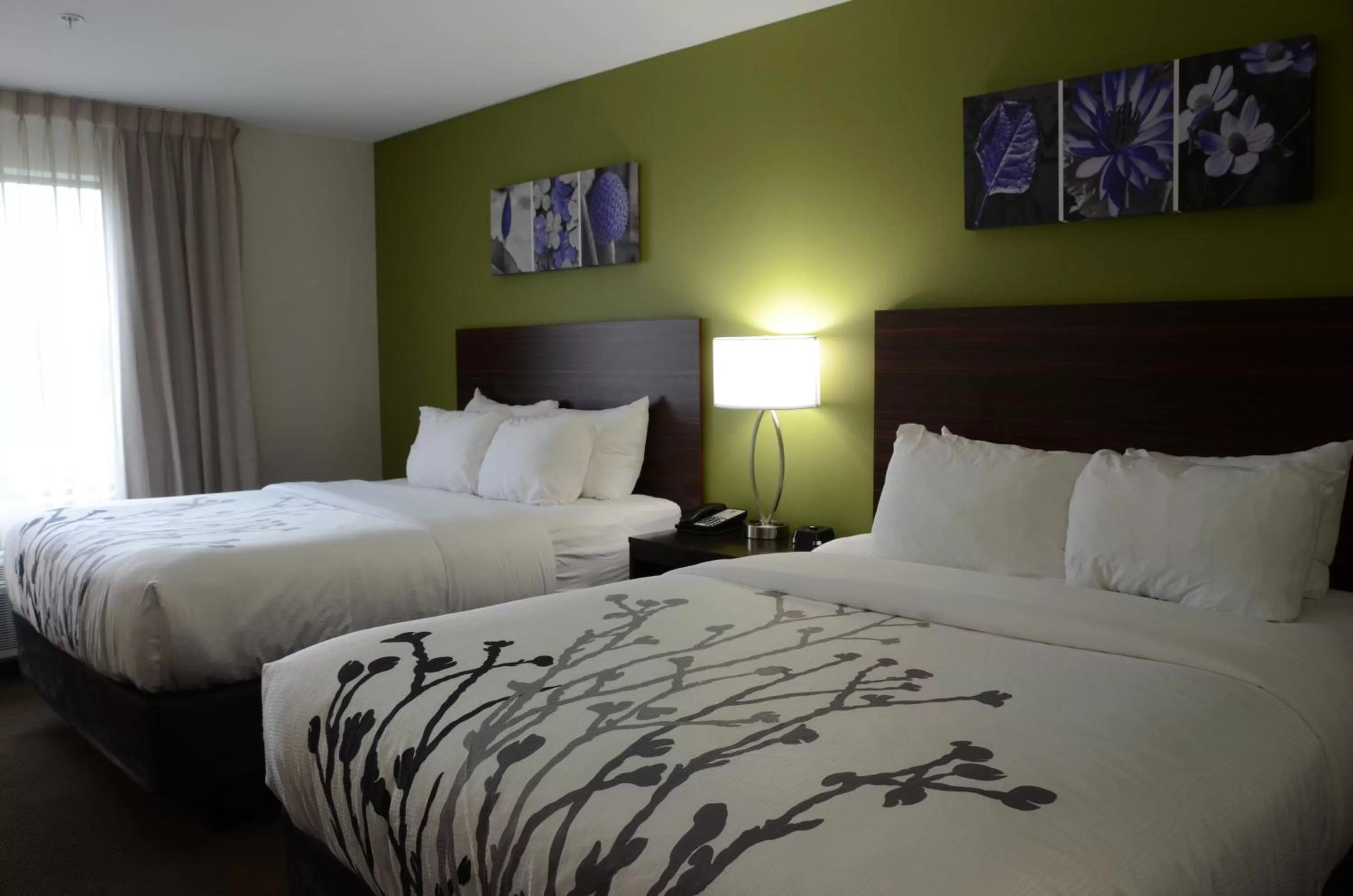 Bed in Sleep Inn Bowling Green North