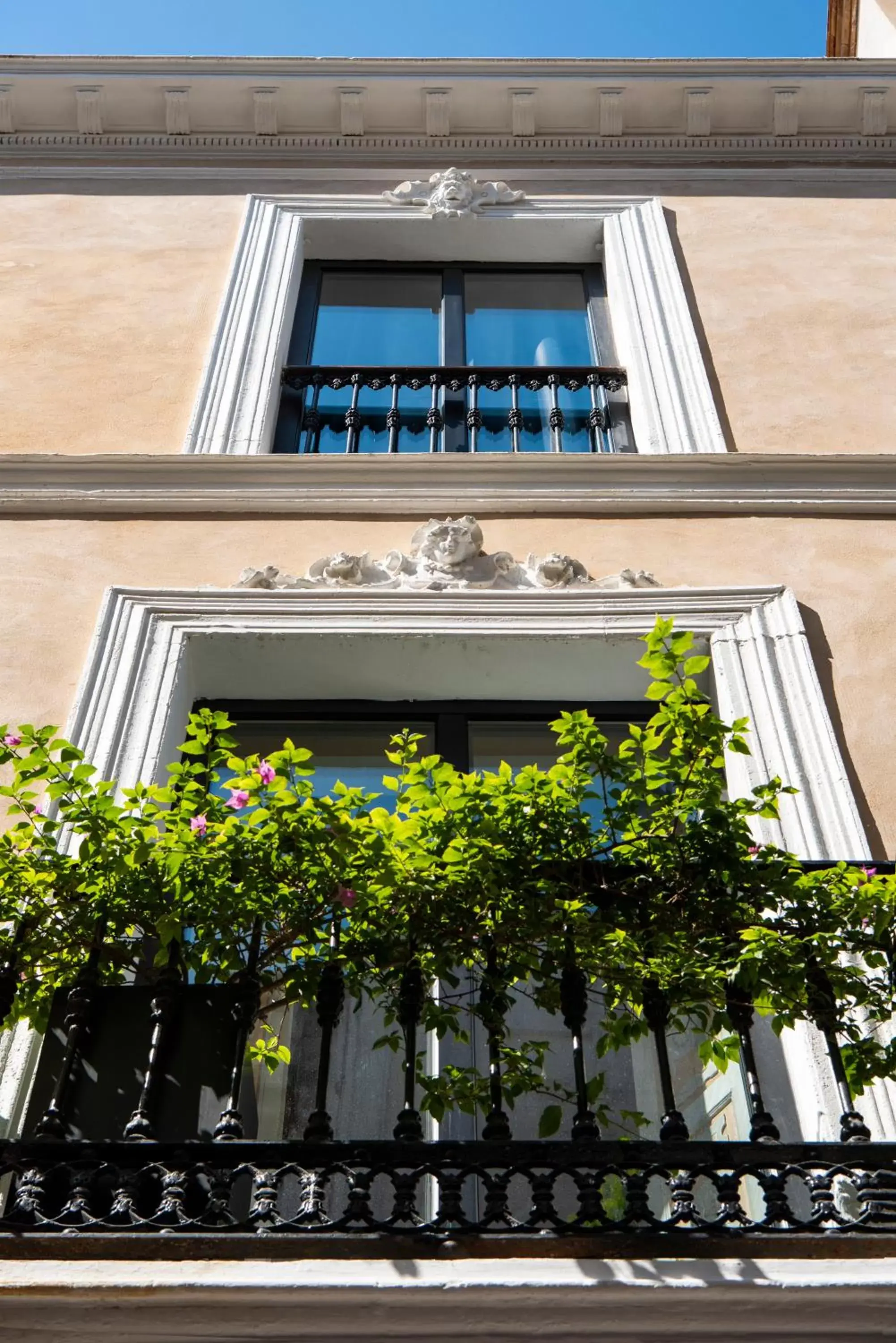 Balcony/Terrace in Pájaro Rebelde