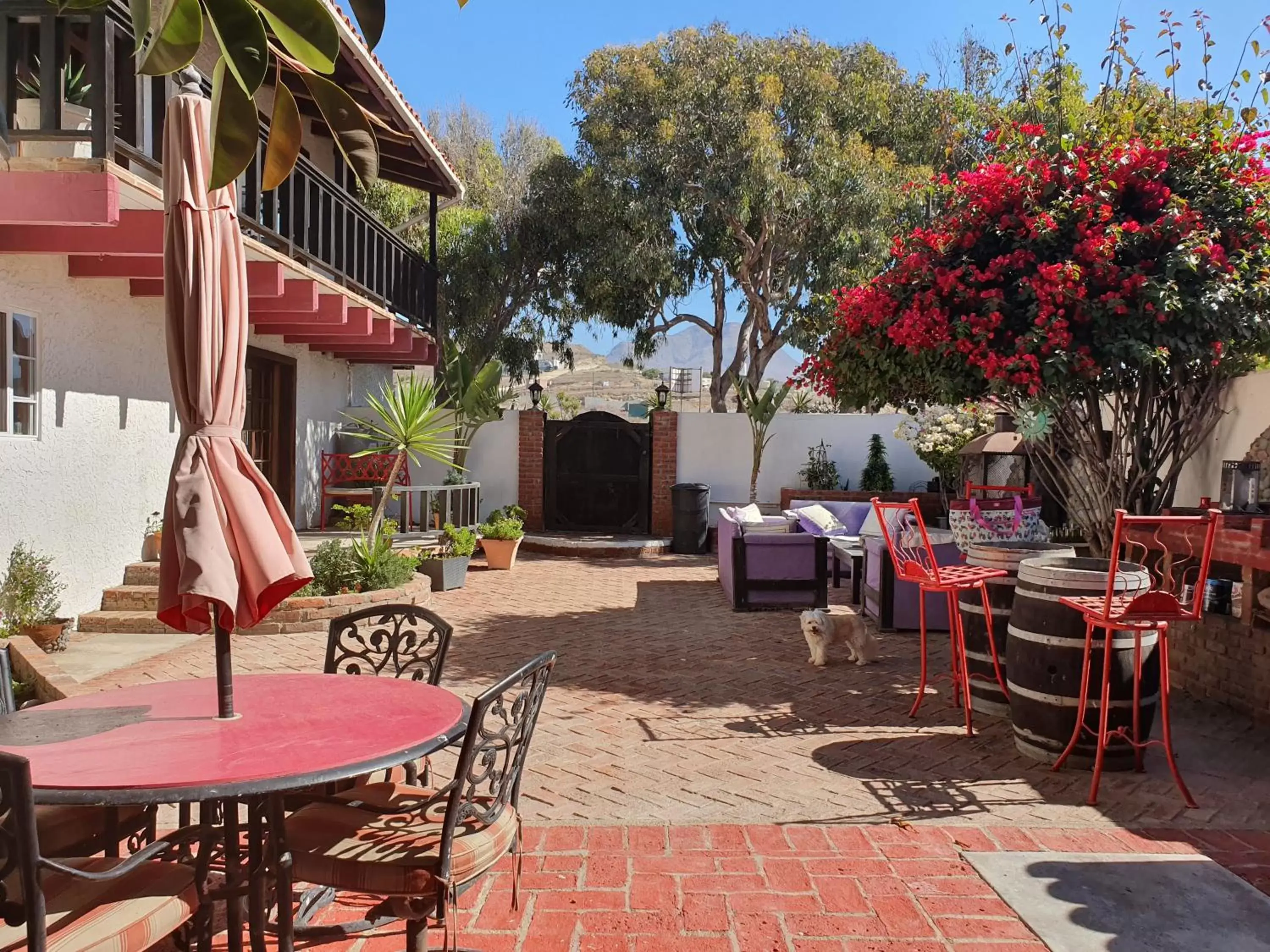 BBQ facilities in Hacienda Rancho Santini