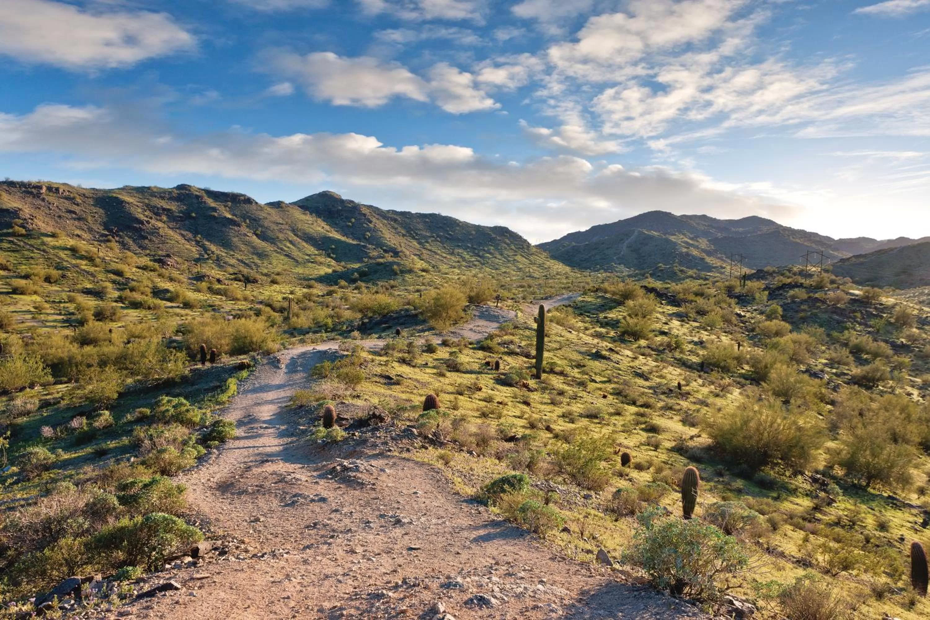 View (from property/room) in Raintree at Phoenix South Mountain Preserve