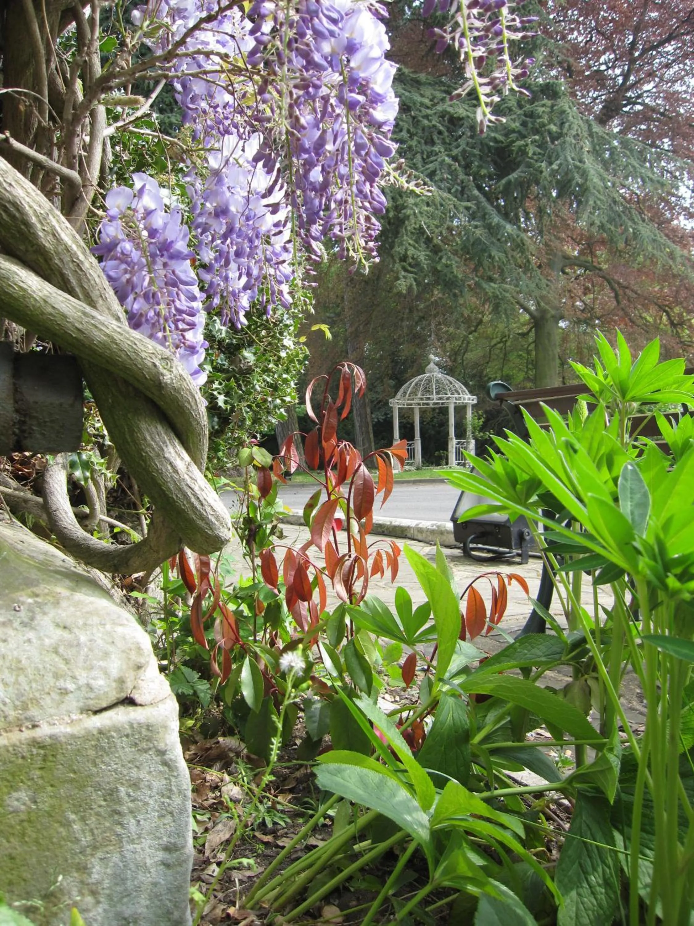 Garden in Weston Hall Hotel Sure Hotel Collection by Best Western