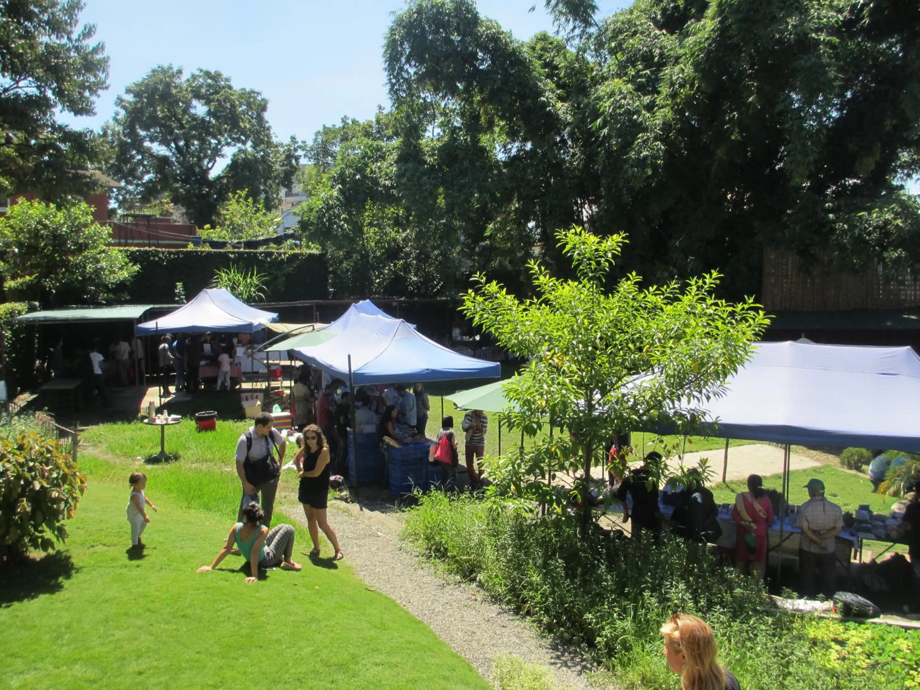Garden in The Museum