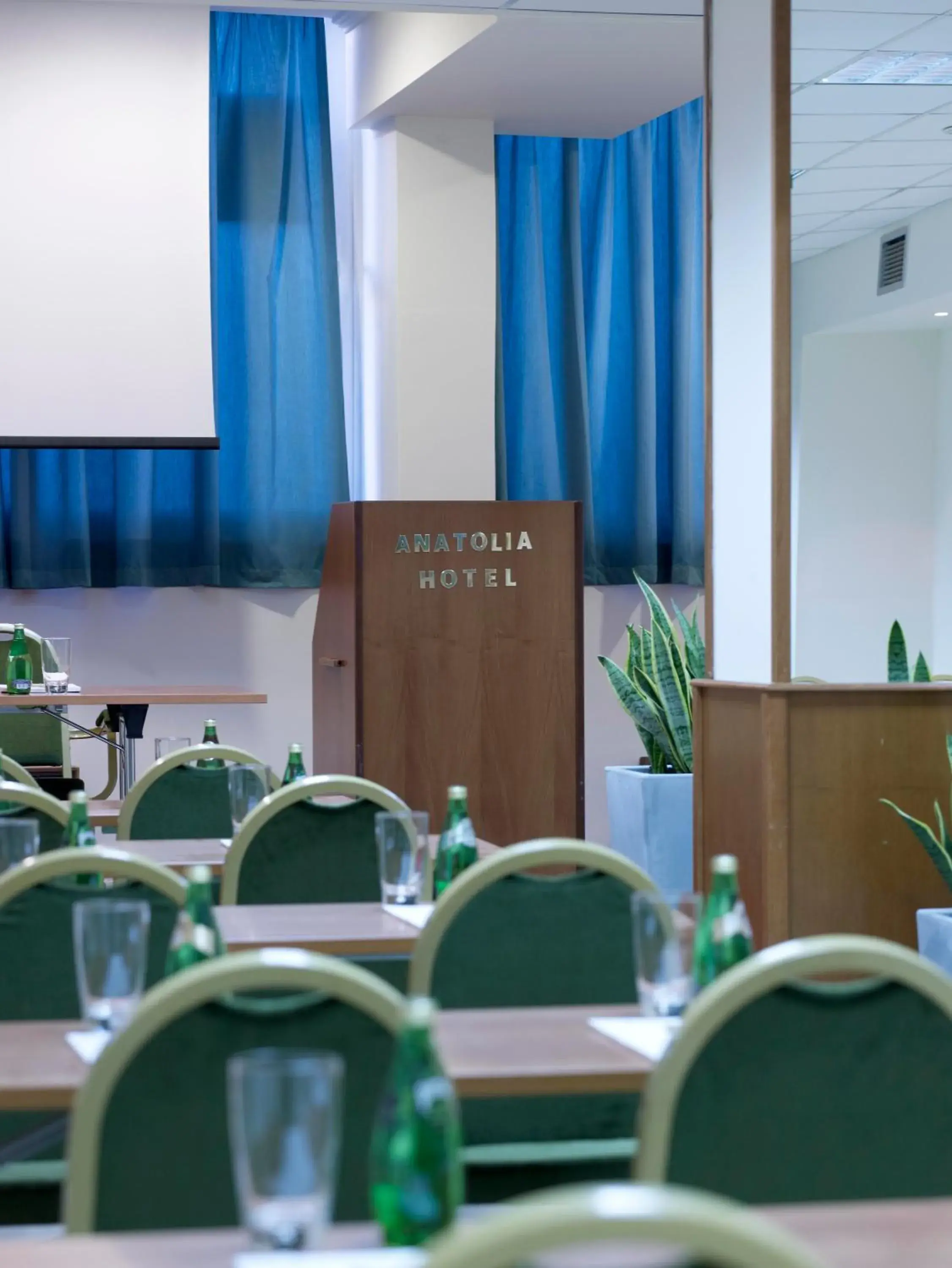 Business facilities in Anatolia Hotel Komotini