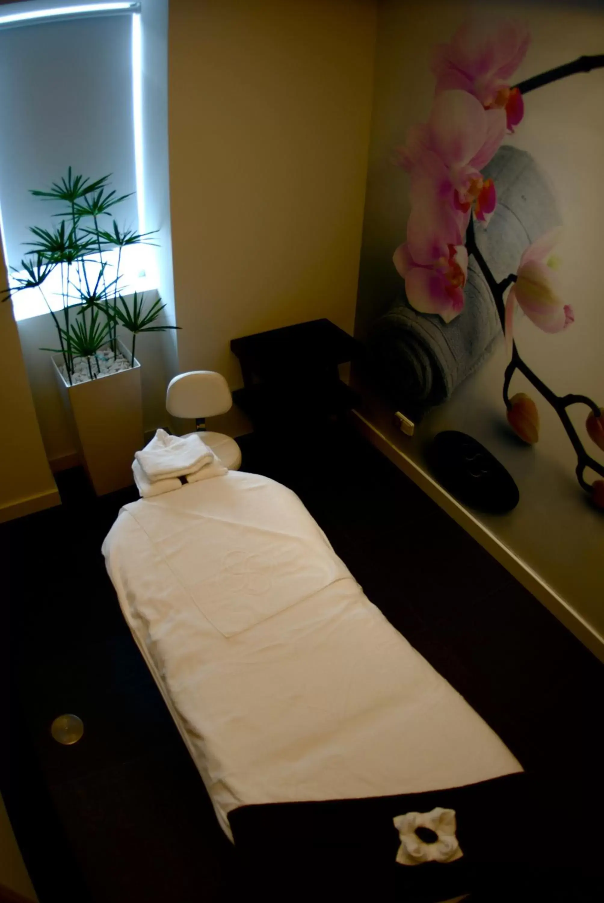 Massage, Bed in Grande Hotel De Luso