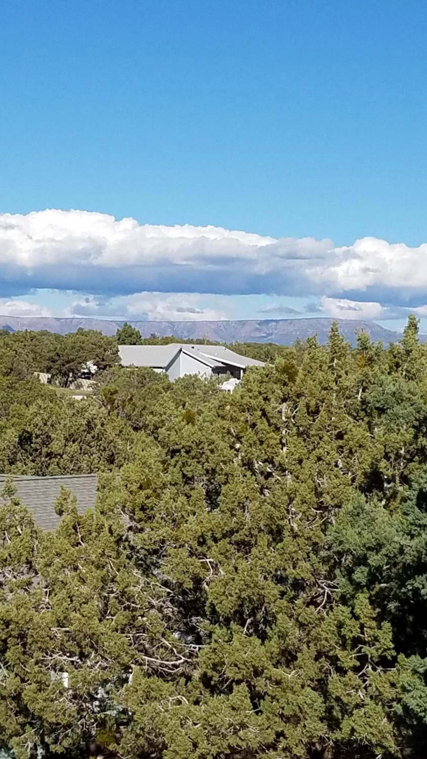 View (from property/room) in Ronnie's Resort