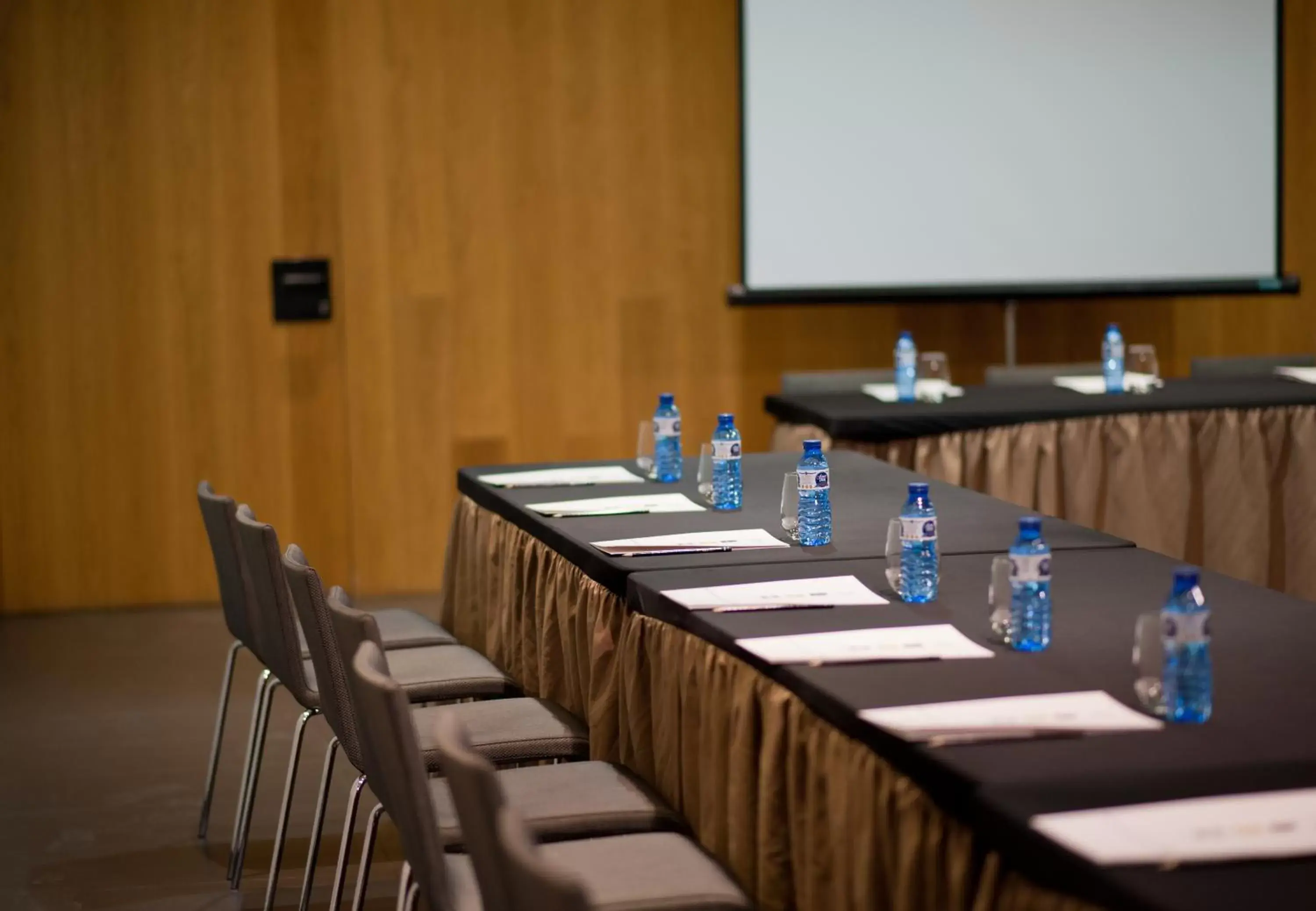 Business facilities, Business Area/Conference Room in Hotel Blu Puerta de Almansa