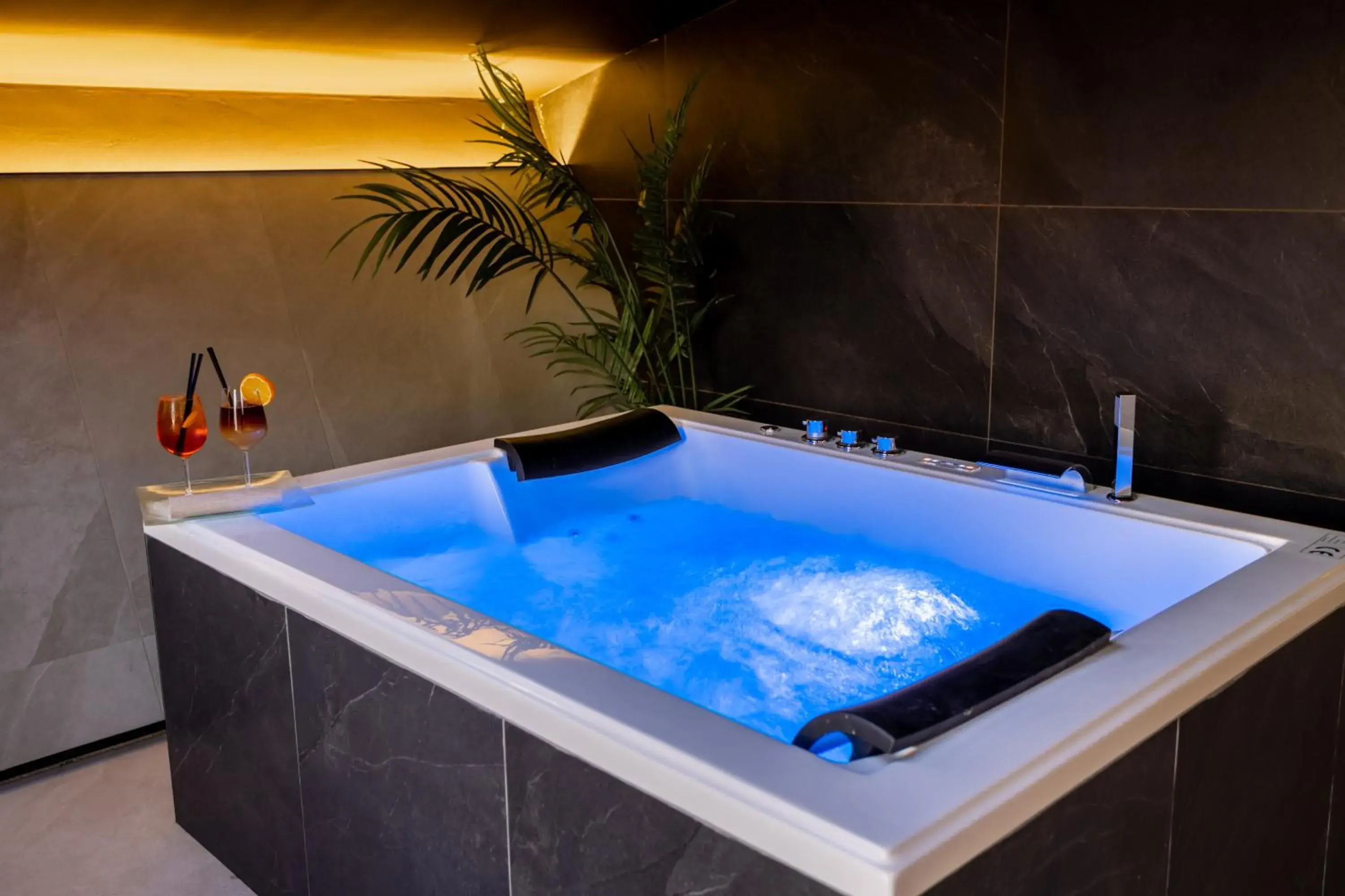 Hot Tub, Swimming Pool in Black Hotel