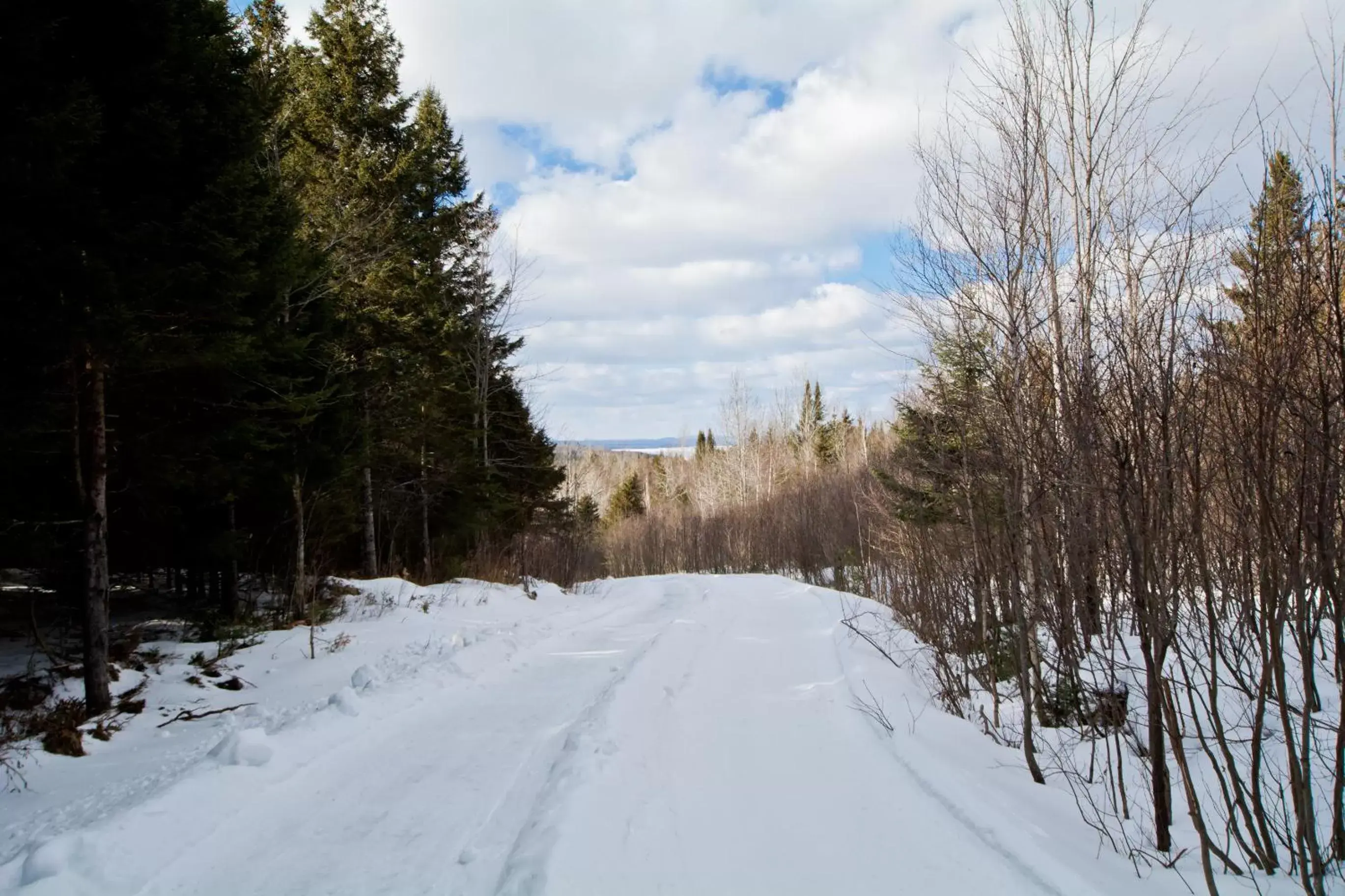 Winter in Camping Chalets Spas Pignons Rouges