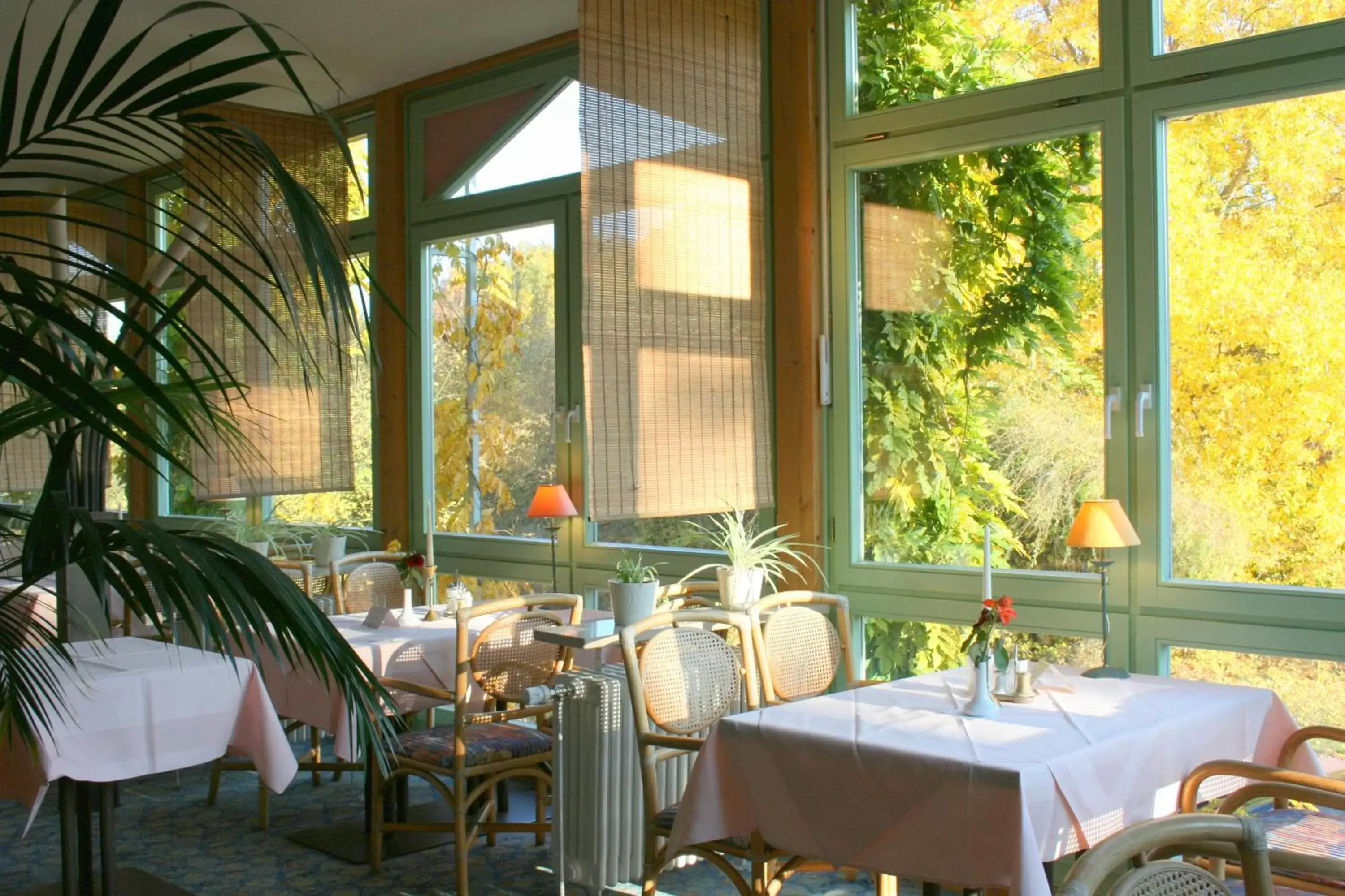 Restaurant/Places to Eat in Parkhotel Hitzacker