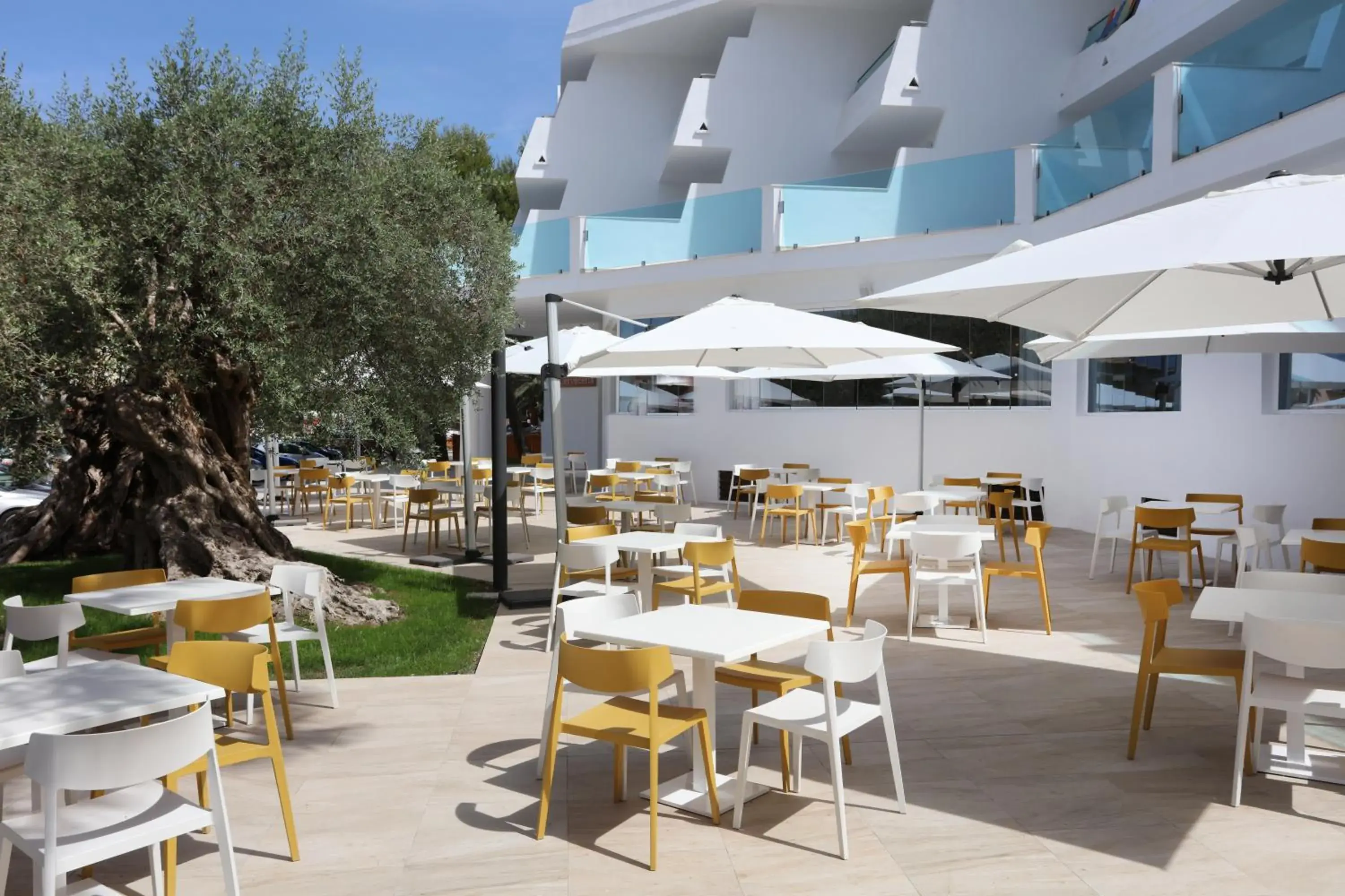 Lounge or bar, Restaurant/Places to Eat in Iberostar Playa de Muro