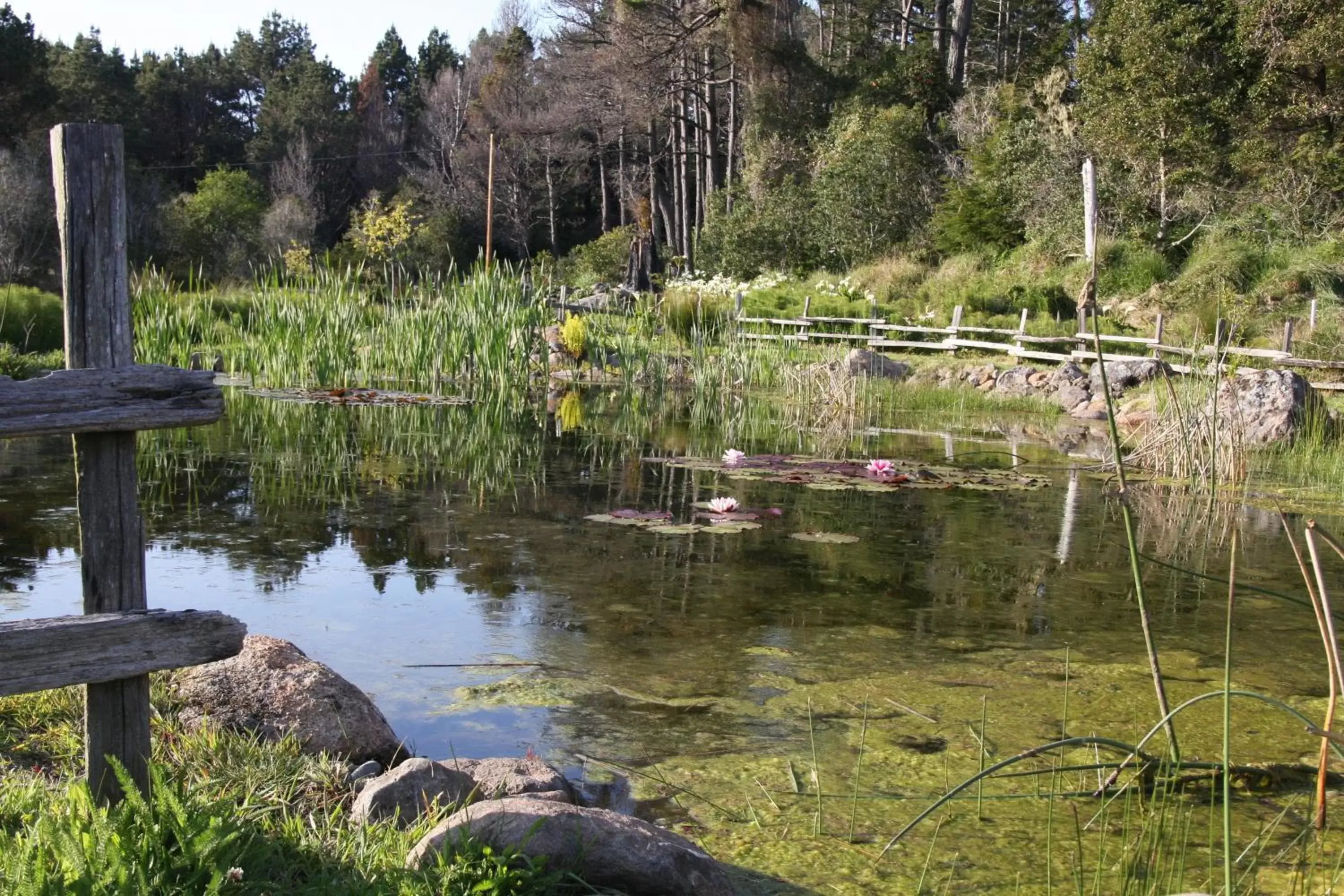 Garden, Natural Landscape in Brewery Gulch Inn