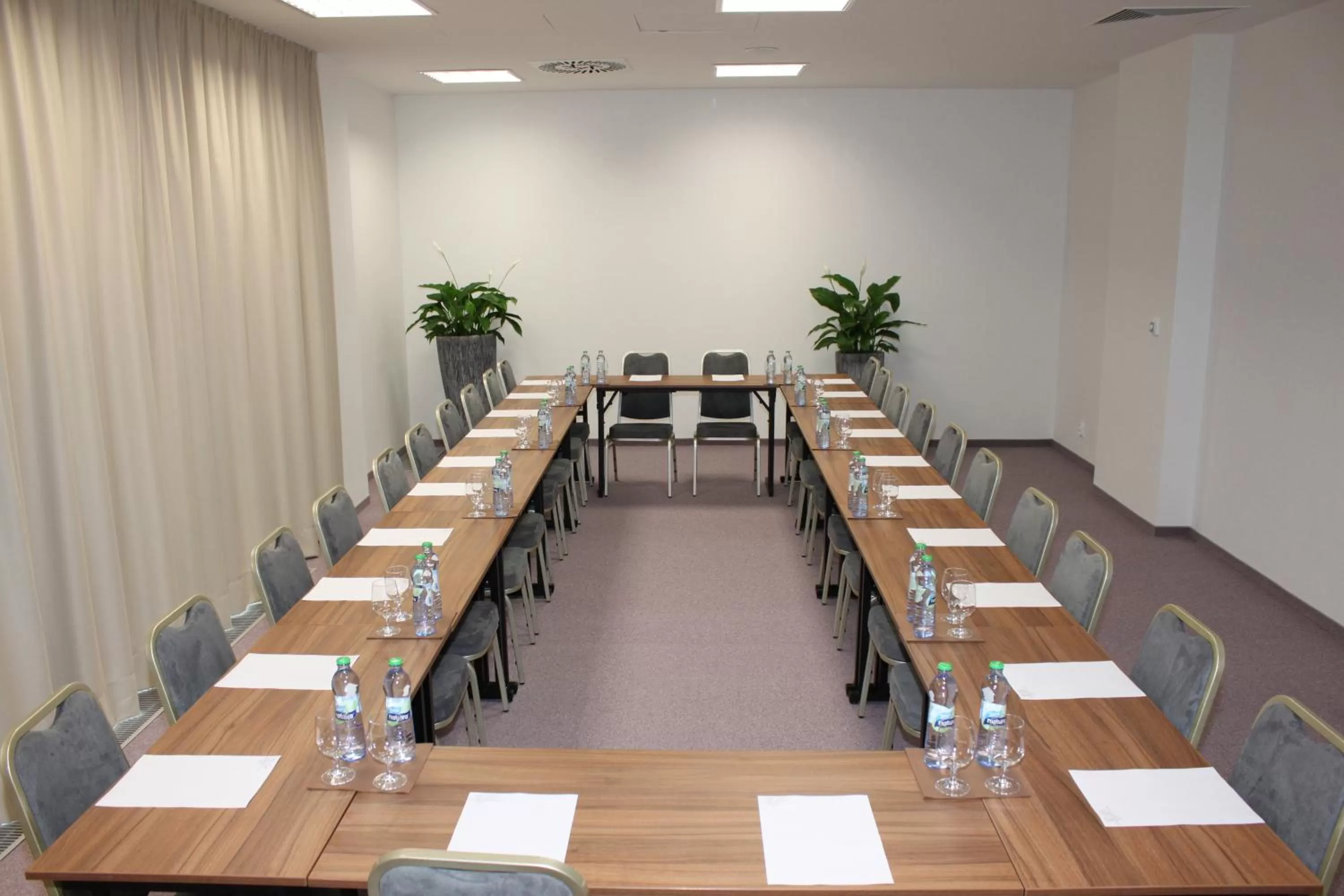 Business facilities in Hotel Saffron