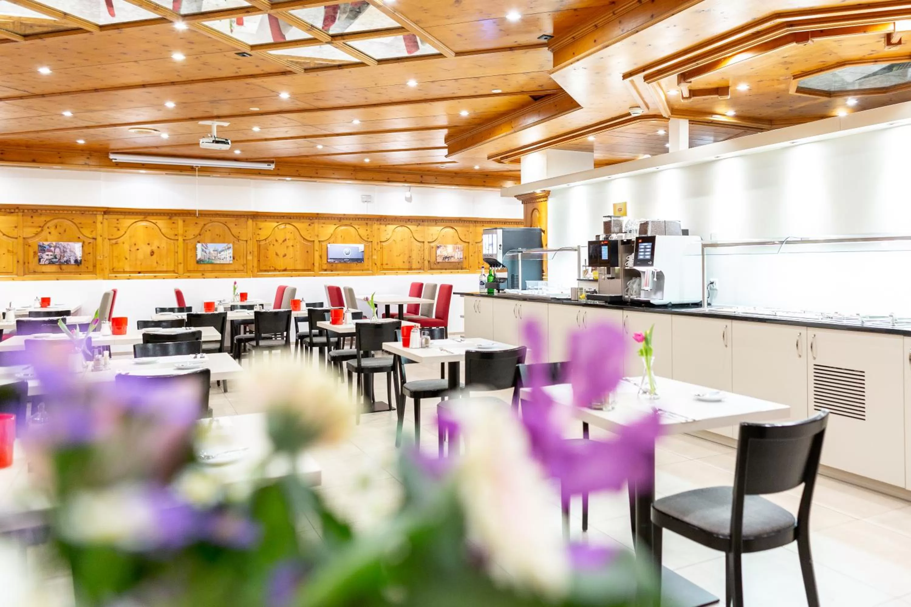 Restaurant/places to eat in Hotel Alexander