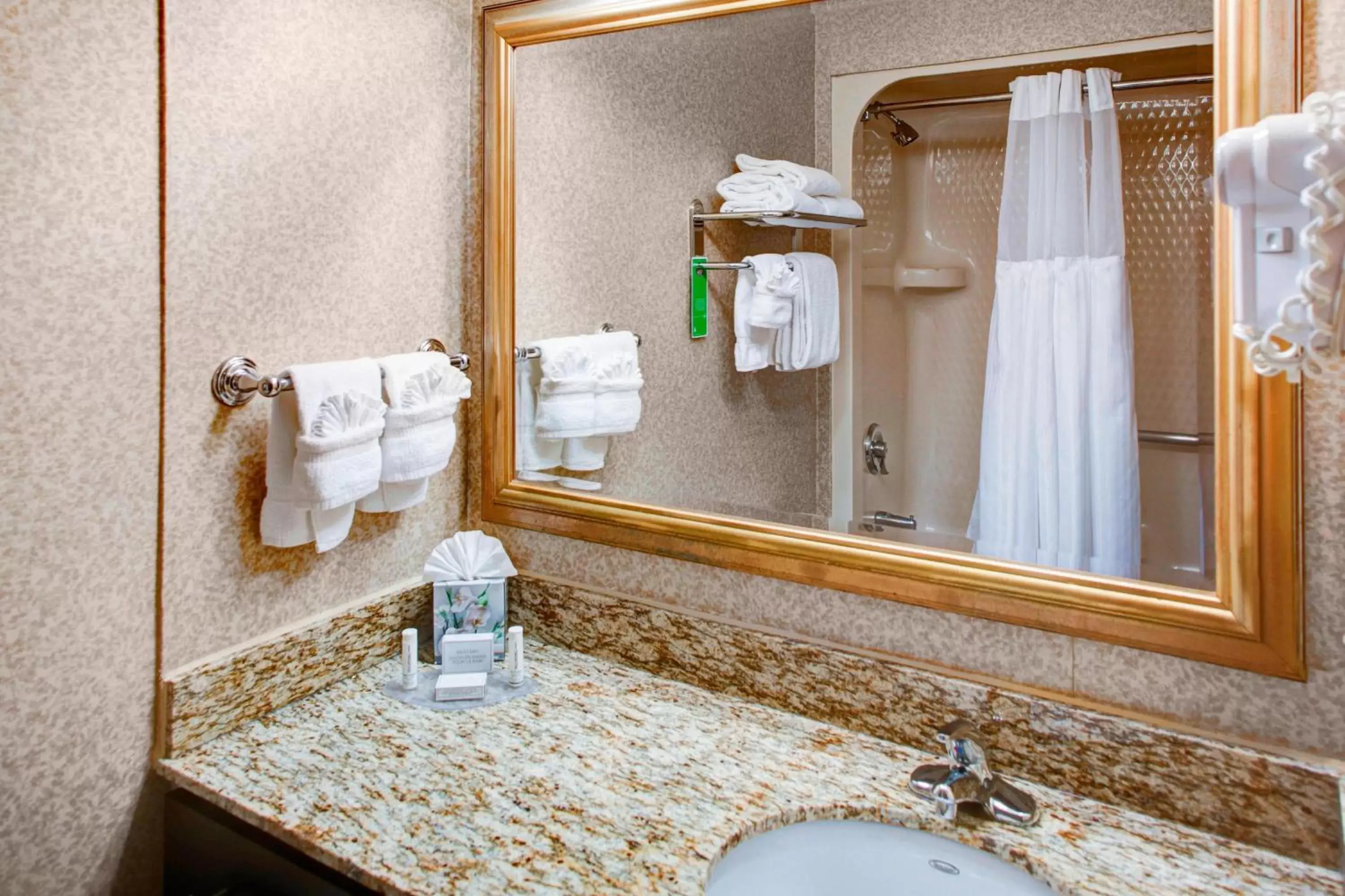 Bathroom in TownePlace Suites Atlanta Buckhead