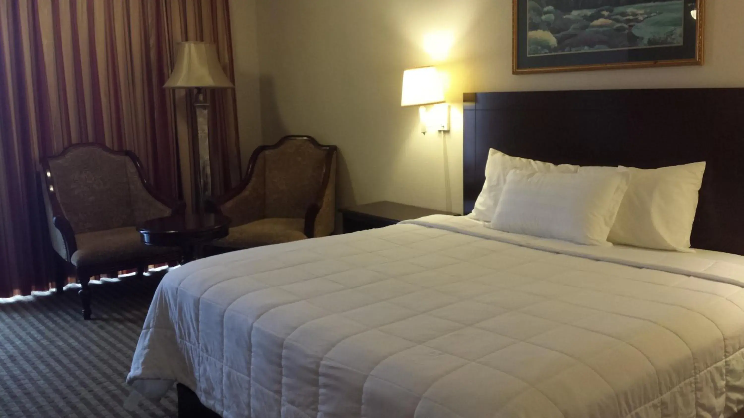 Photo of the whole room, Bed in Romana Hotel - Houston Southwest