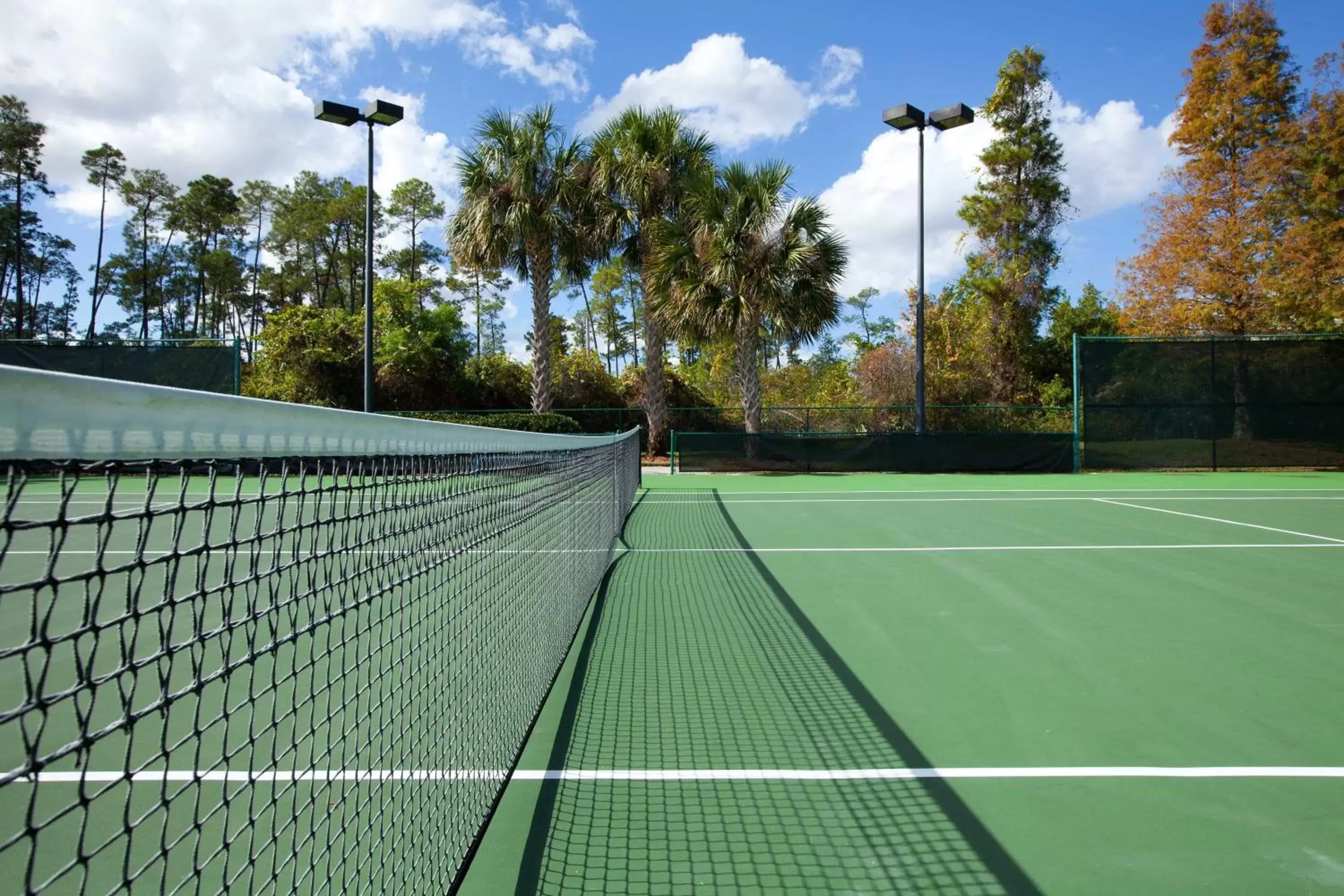 Tennis court, Tennis/Squash in Sheraton Vistana Villages Resort Villas, I-Drive Orlando