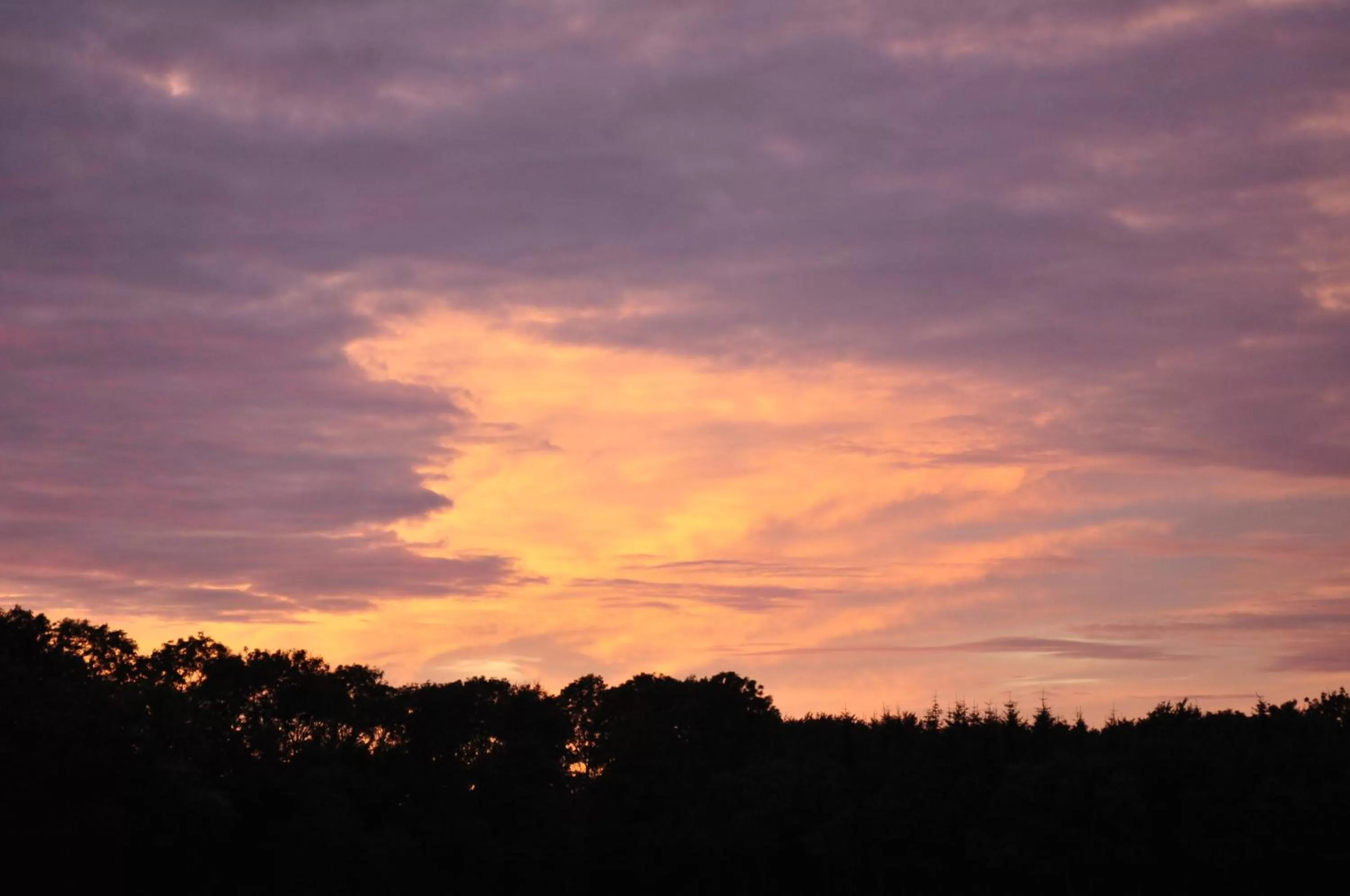 Other in Koebenhovedskov Bed & Breakfast