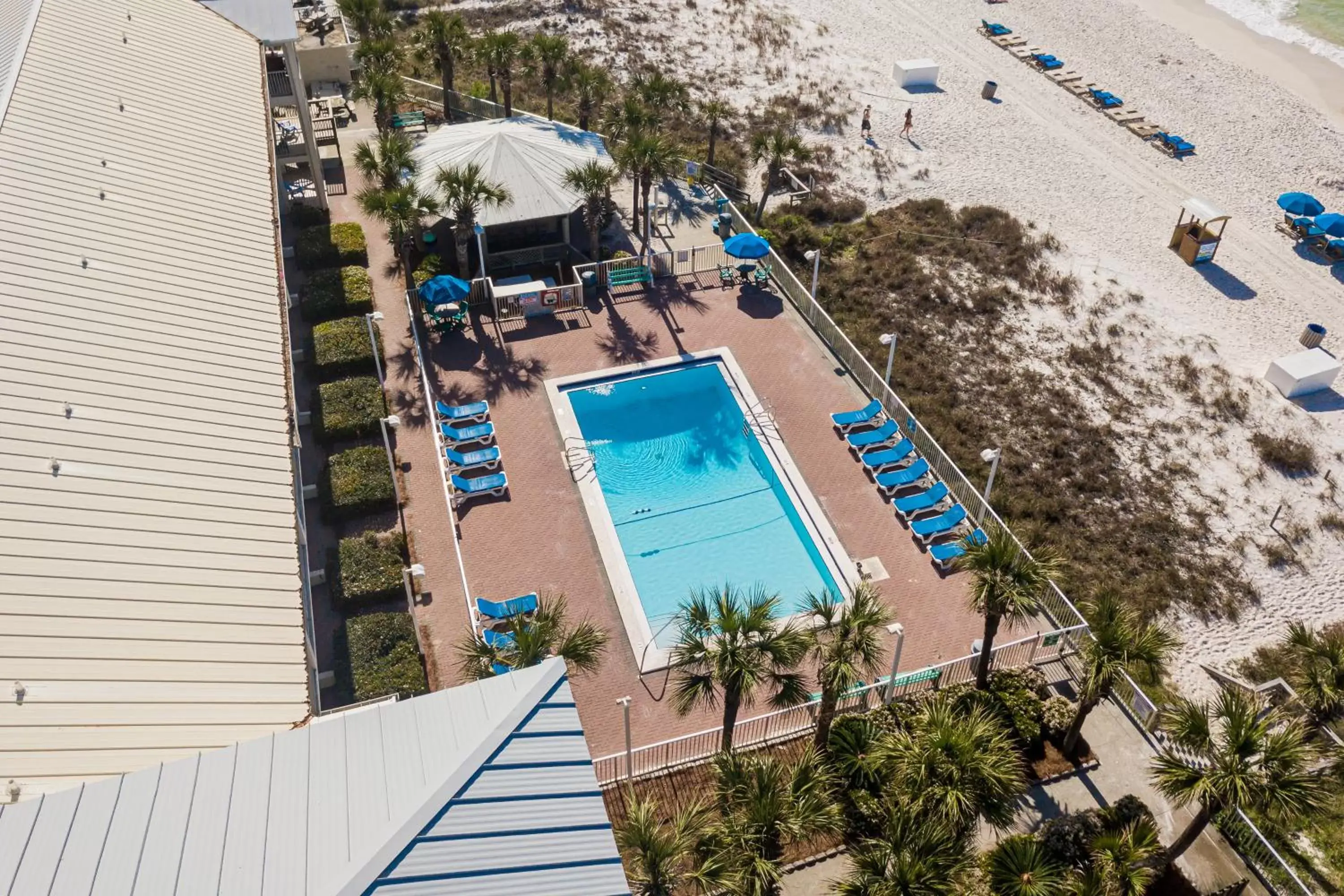 Pool View in Bikini Beach Resort
