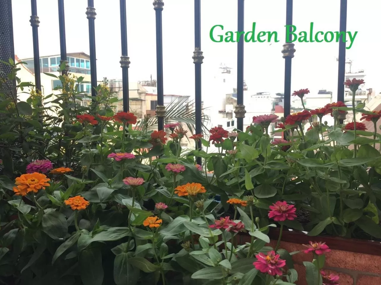 Garden view in Golden Sun Hotel