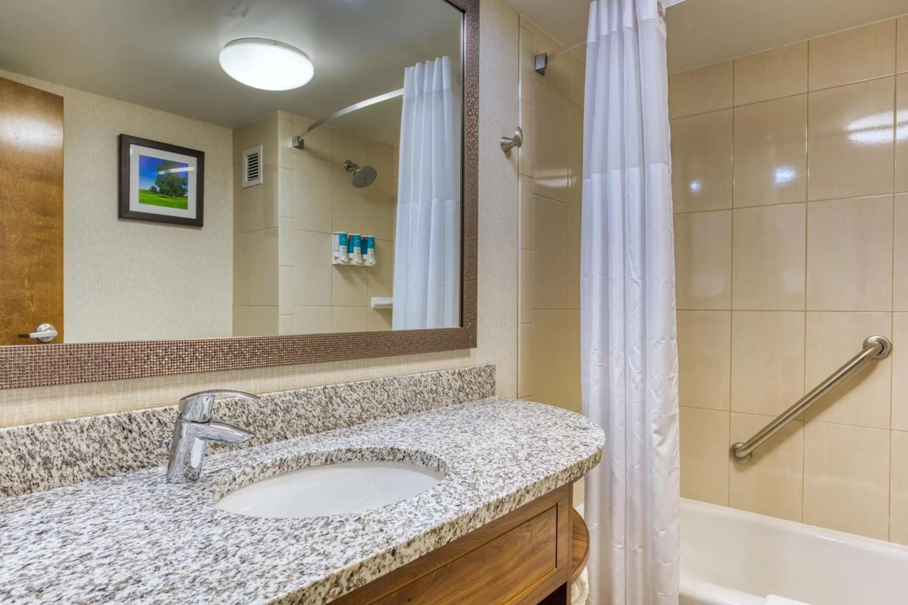 Bathroom in Drury Inn and Suites St Louis Collinsville