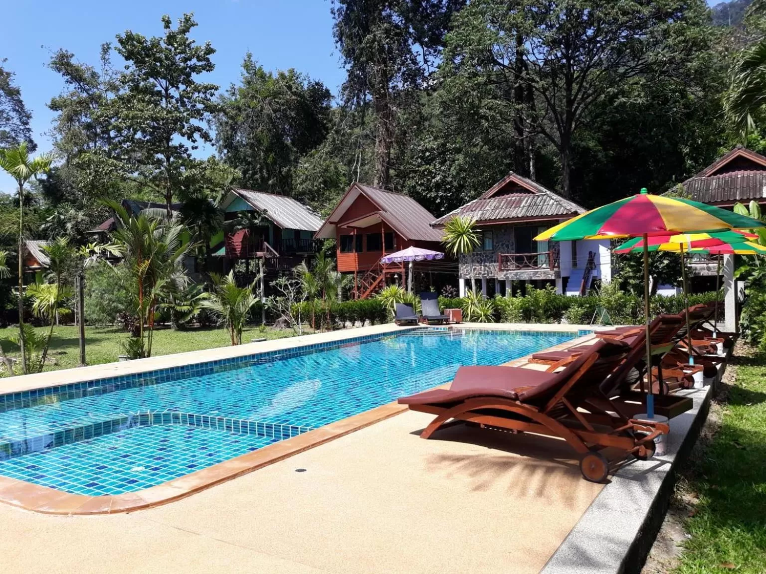 Swimming pool in Tree Tops River Huts