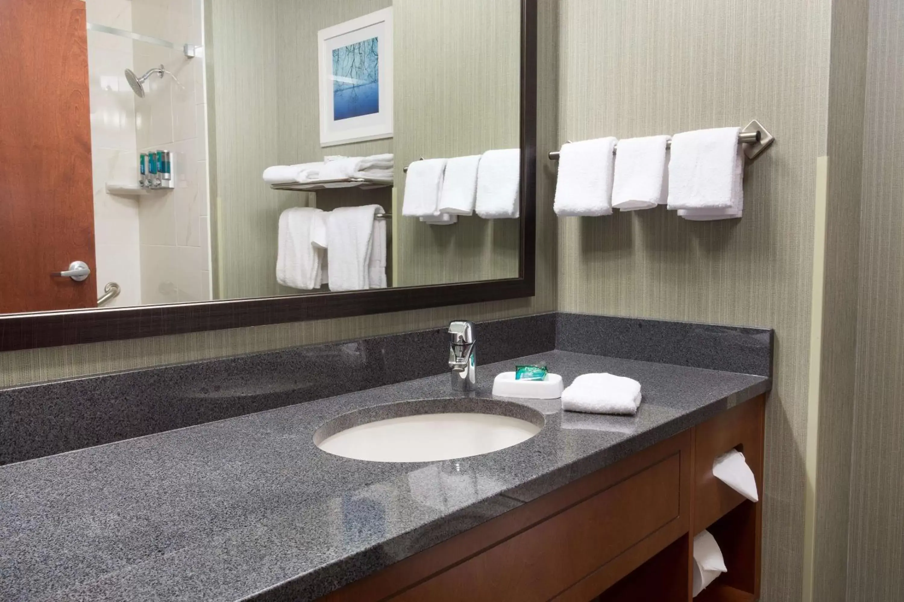 Photo of the whole room, Bathroom in Drury Inn & Suites Burlington