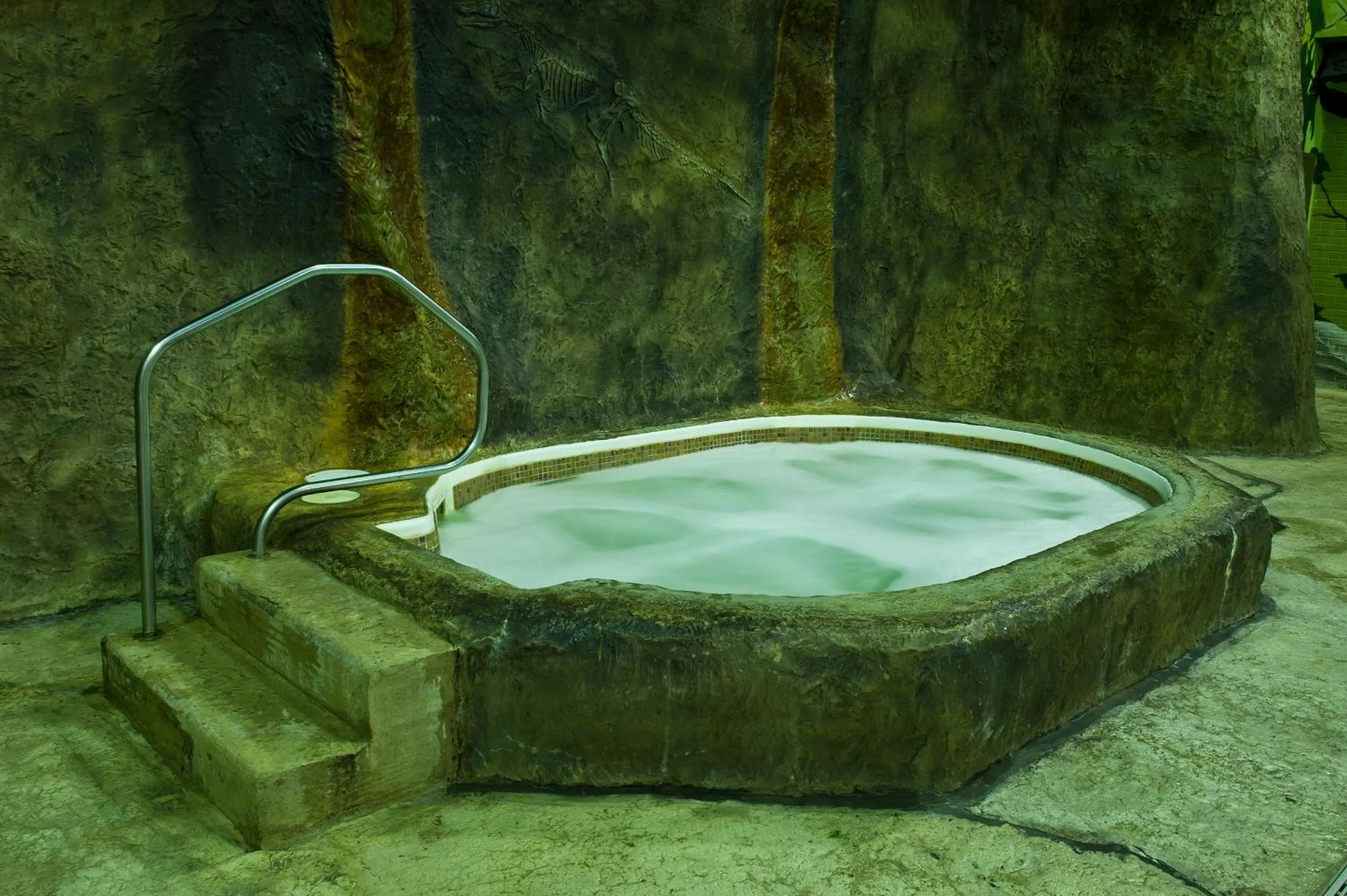 Hot Tub in Victoria Inn Hotel and Convention Center Winnipeg