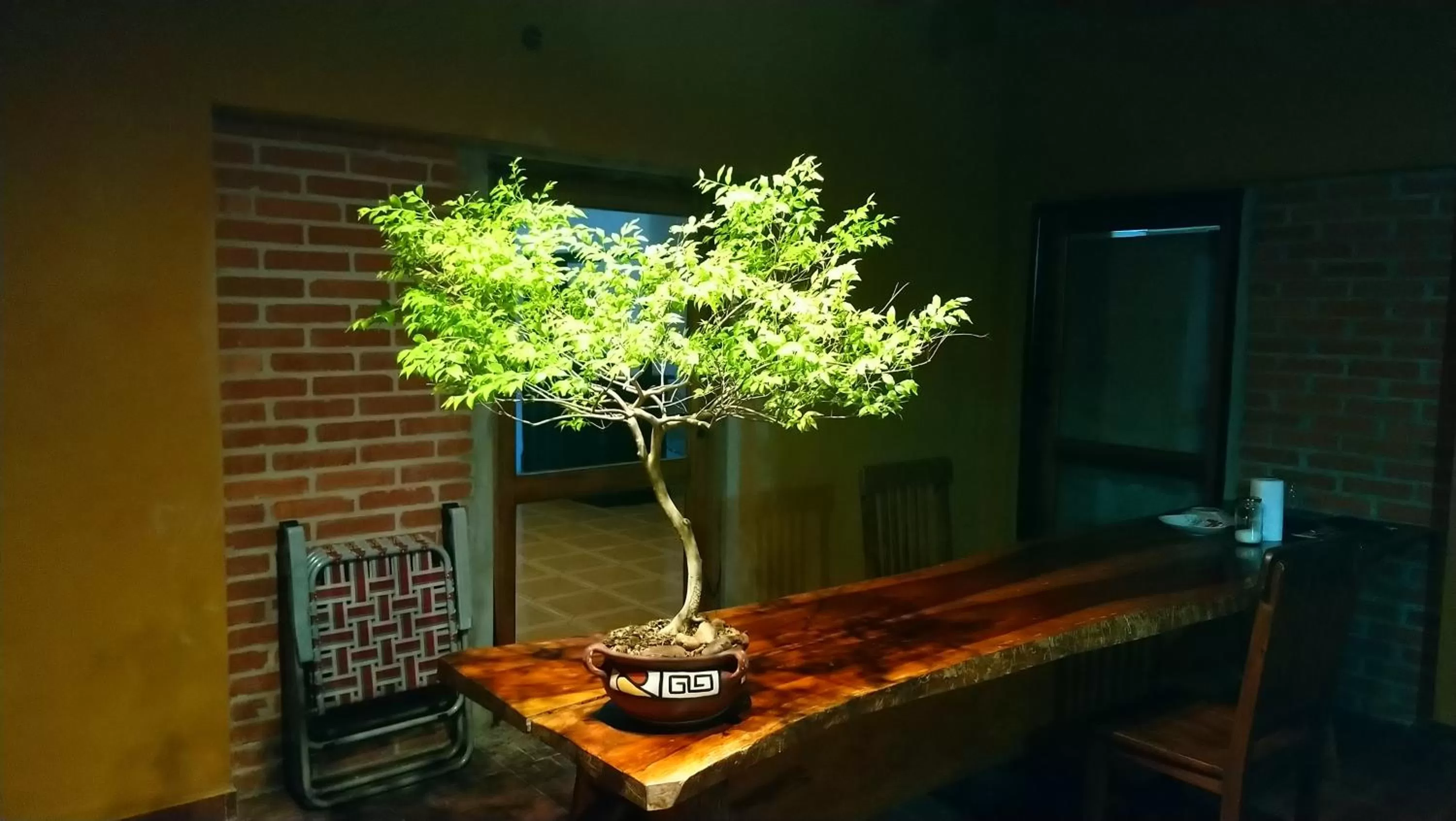 Food and drinks in ELDOtown