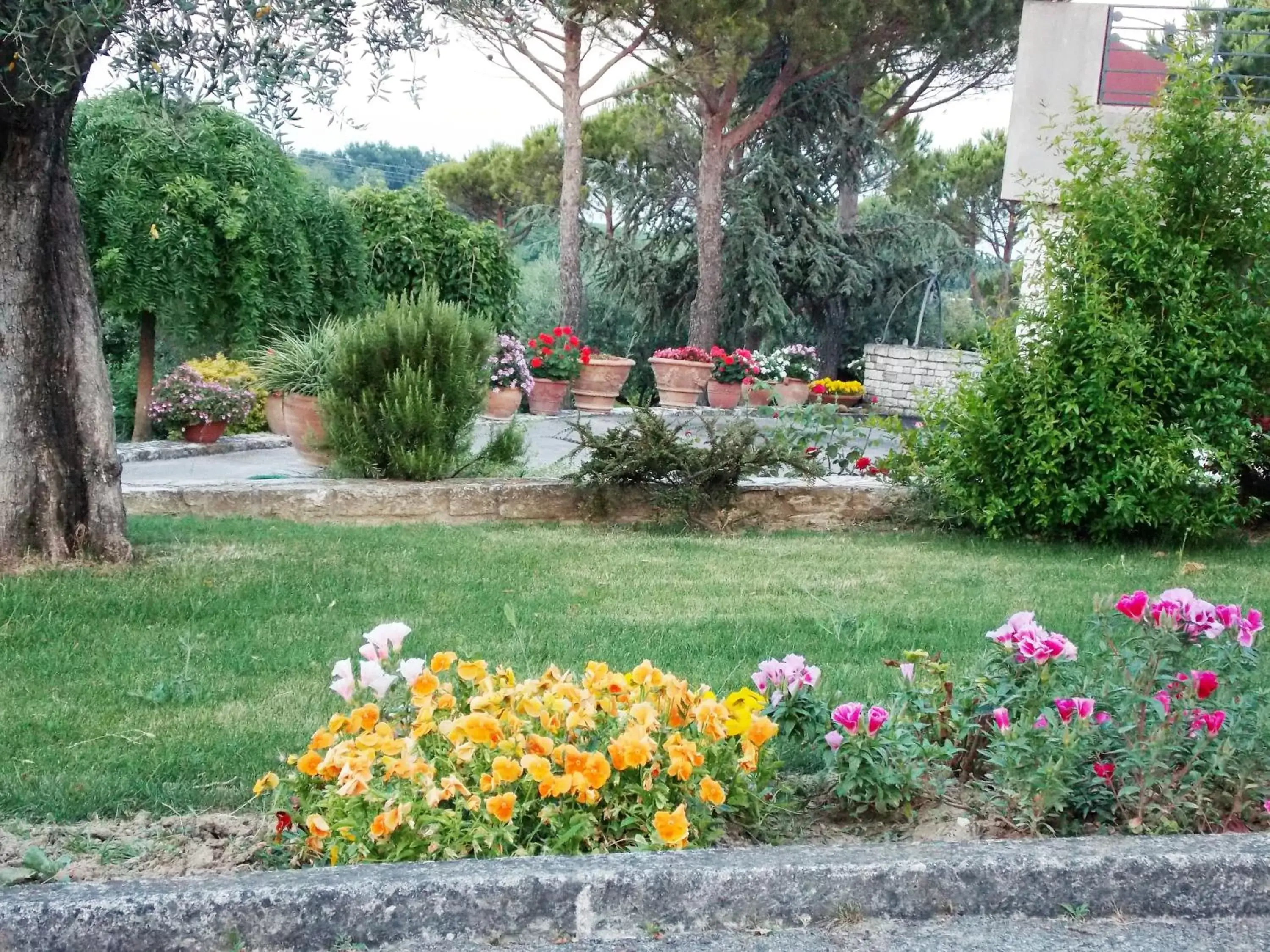 Garden in B&B La Torretta