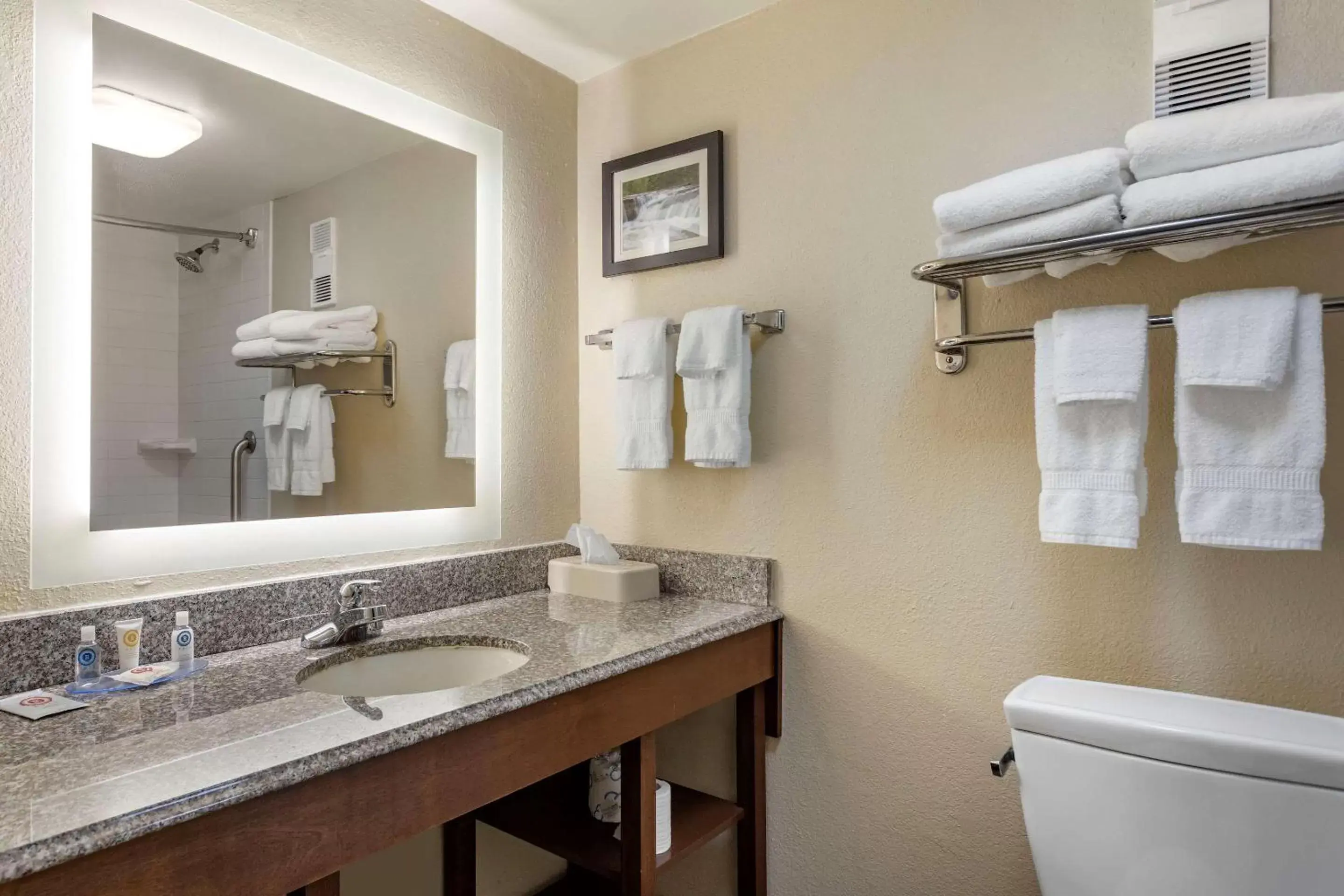 Photo of the whole room, Bathroom in Comfort Inn & Suites Little Rock Airport