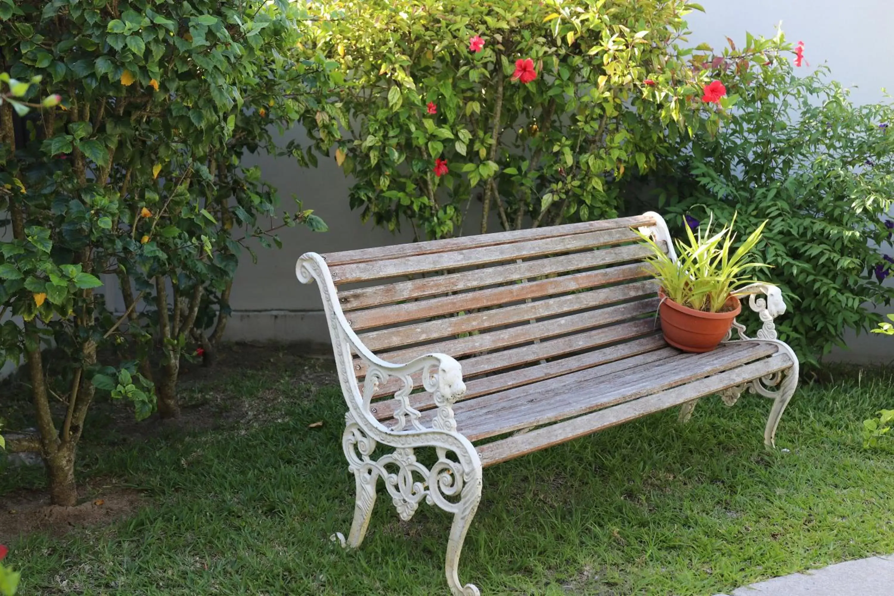 Garden in Hotel La Roussette