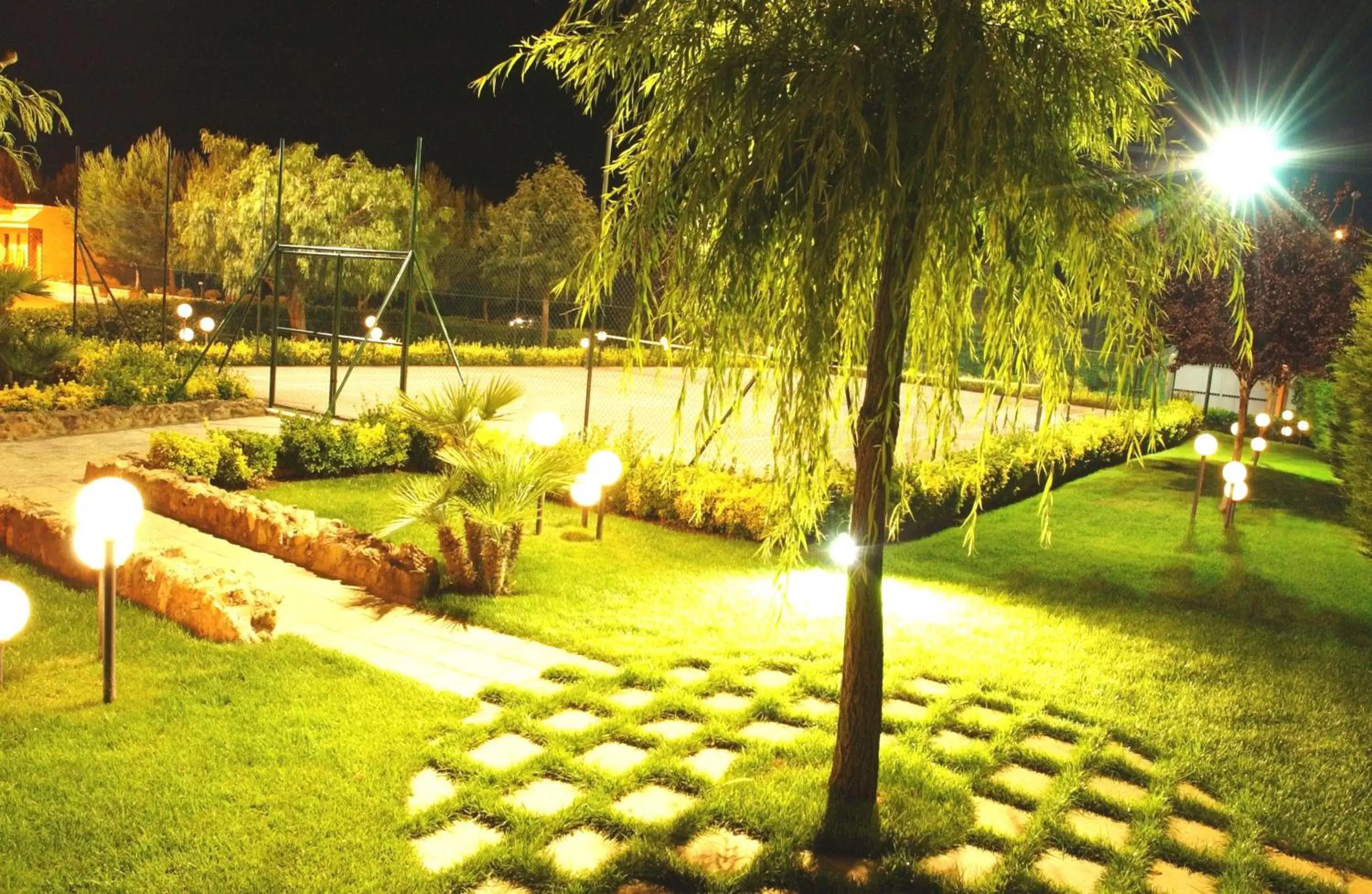 Garden in Hotel Villa Elisabetta