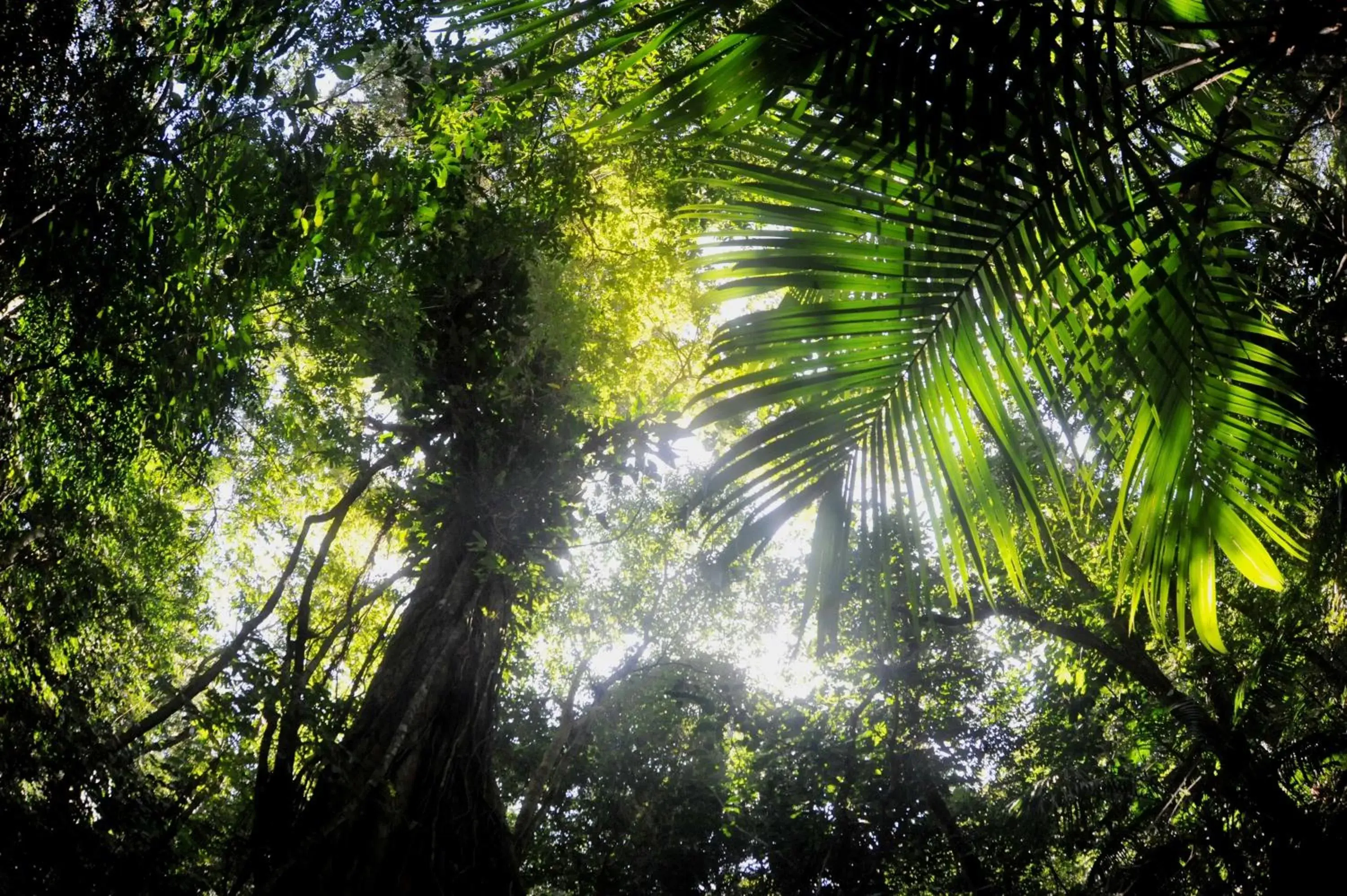 Garden in Ecobiosfera