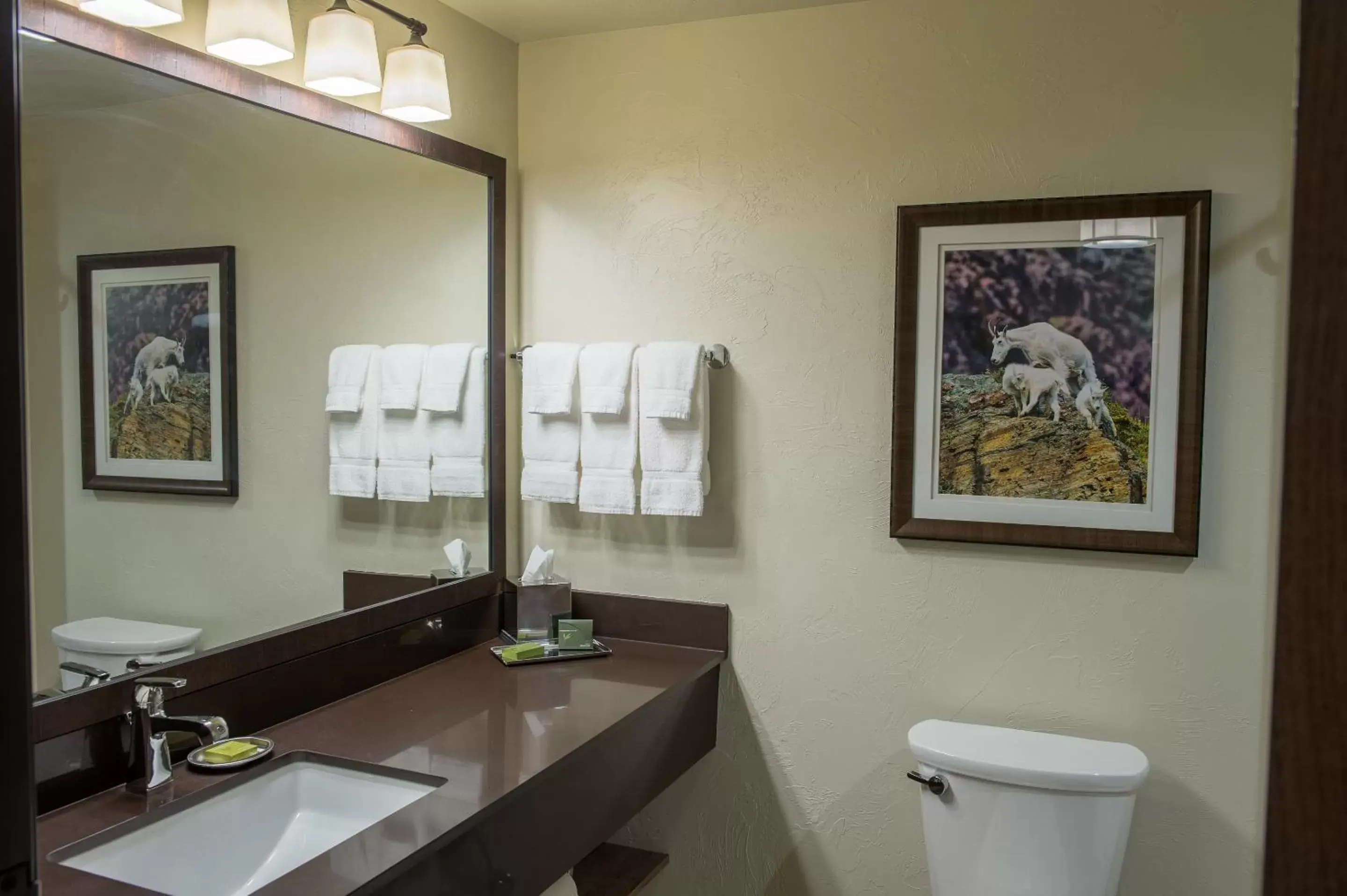 Toilet, Bathroom in Cedar Creek Lodge & Conference Center