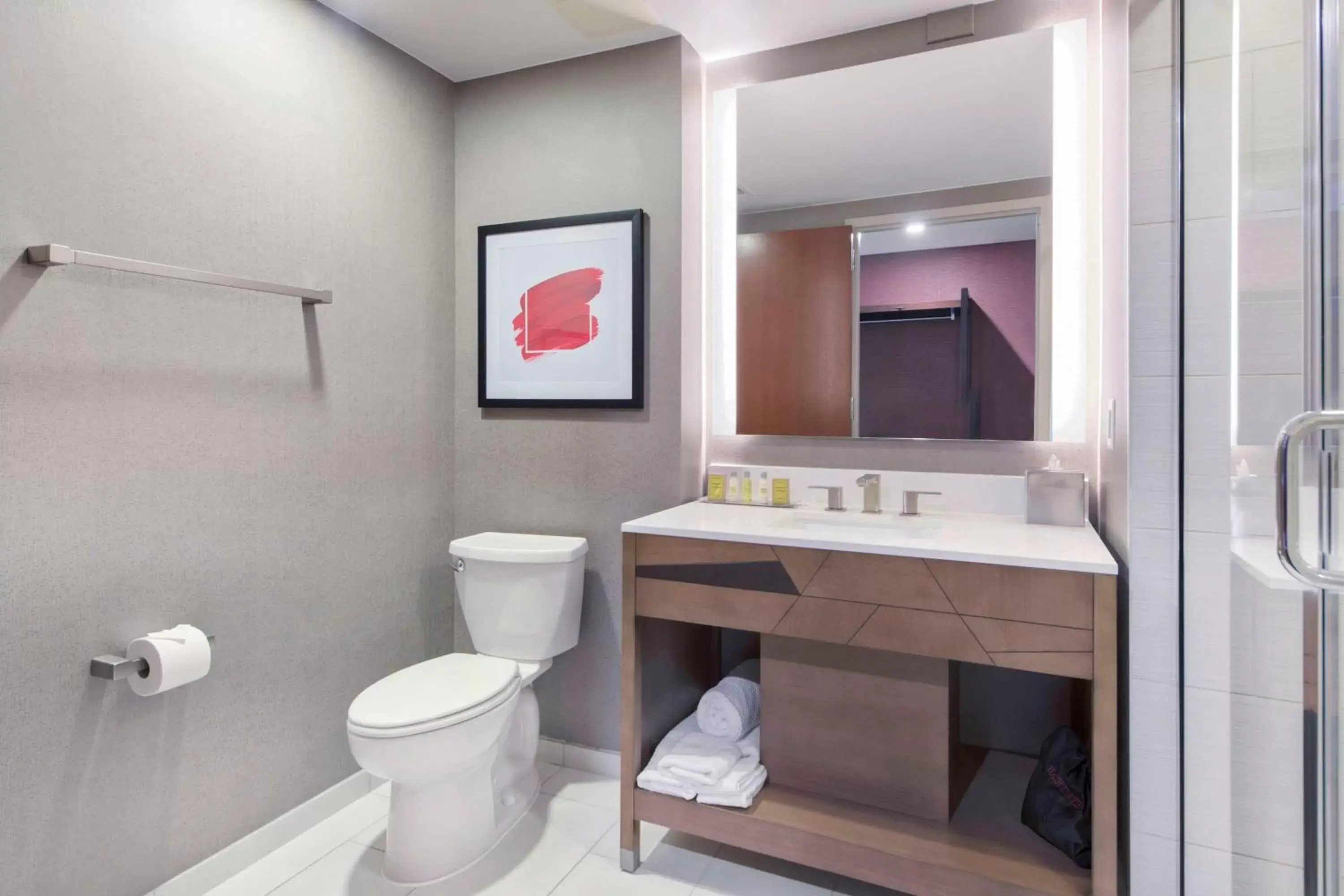 Bathroom in DoubleTree by Hilton Raleigh-Cary