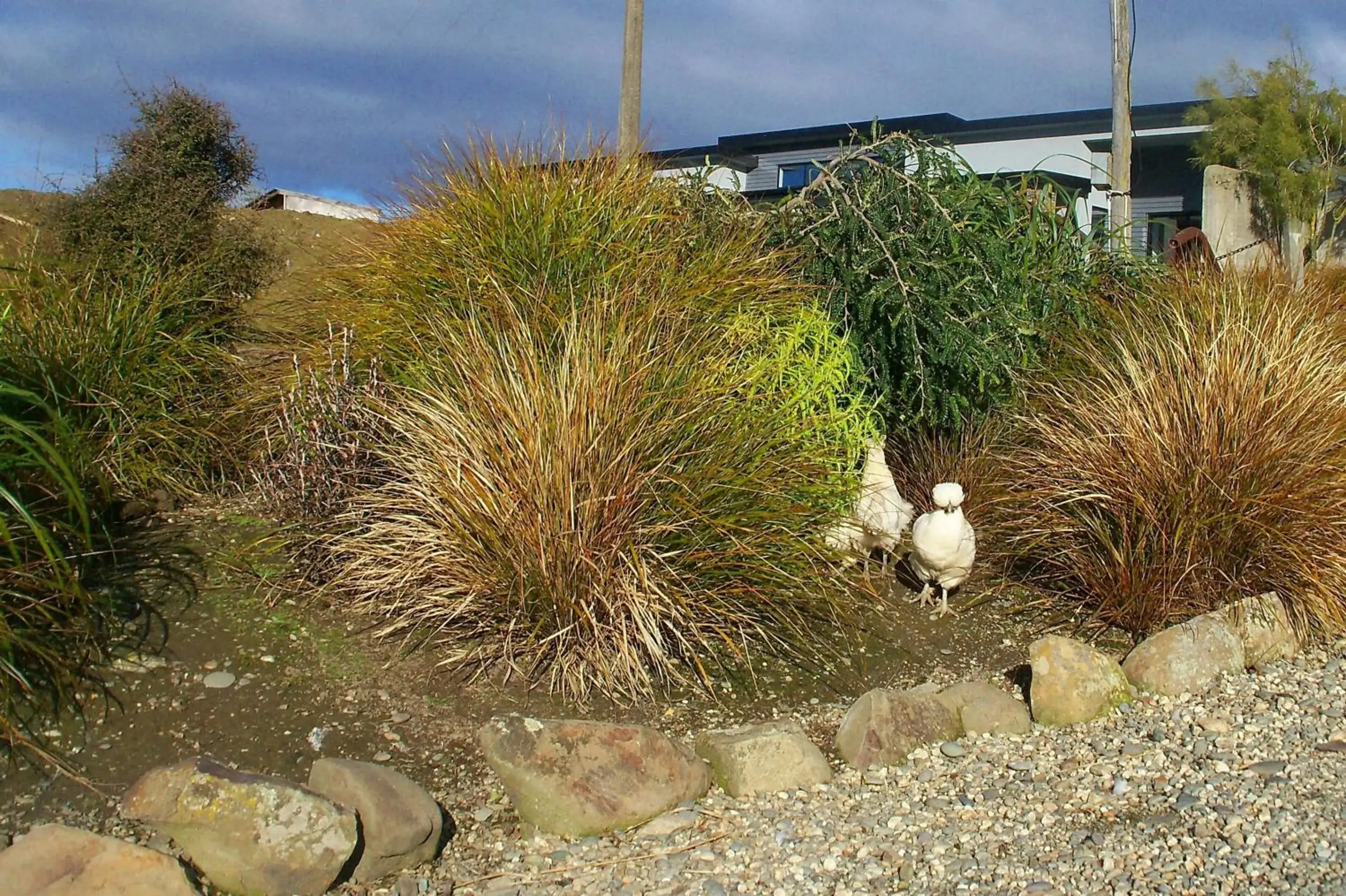 Area and facilities, Garden in The Reservation B&B