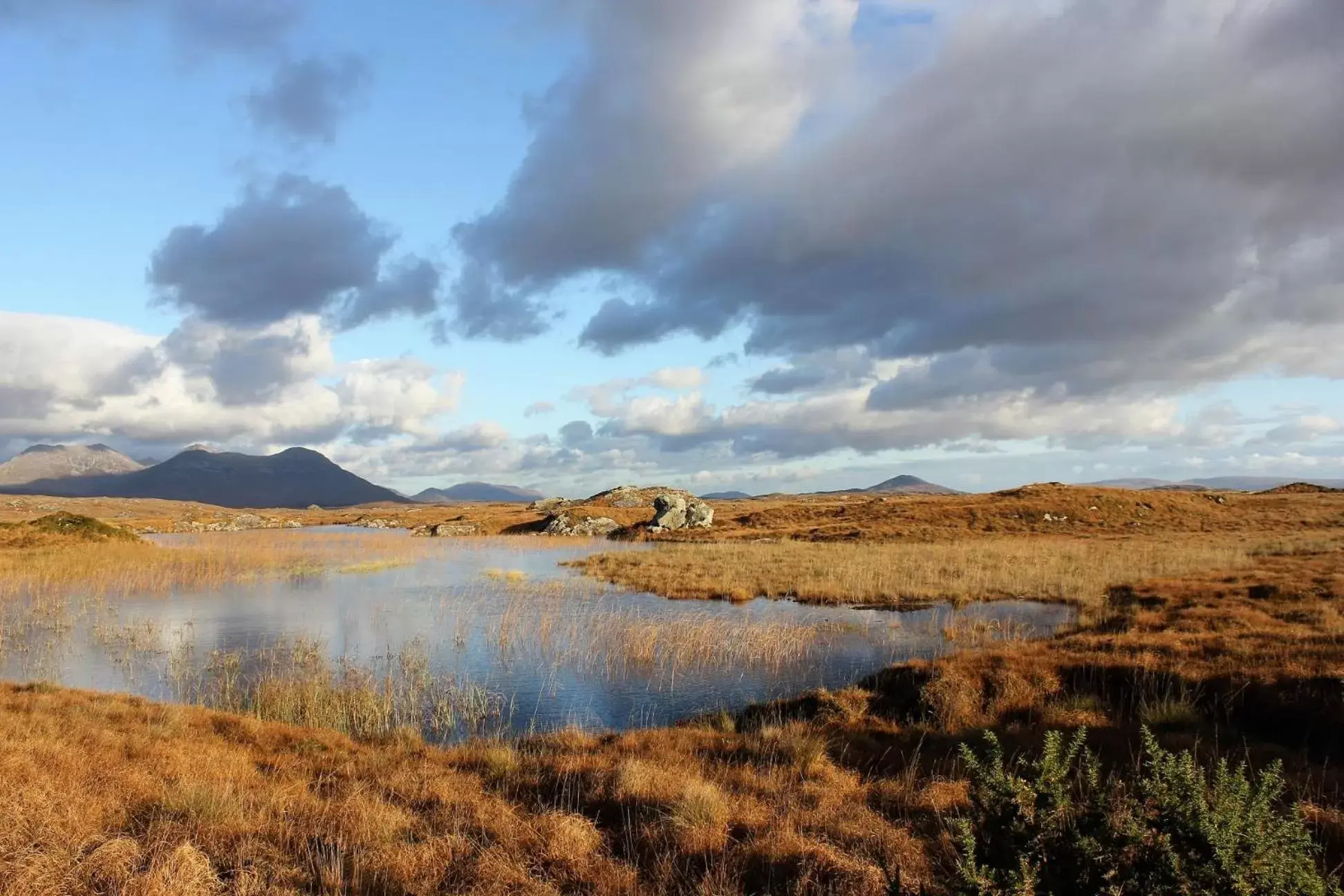 Clifden Bay Lodge