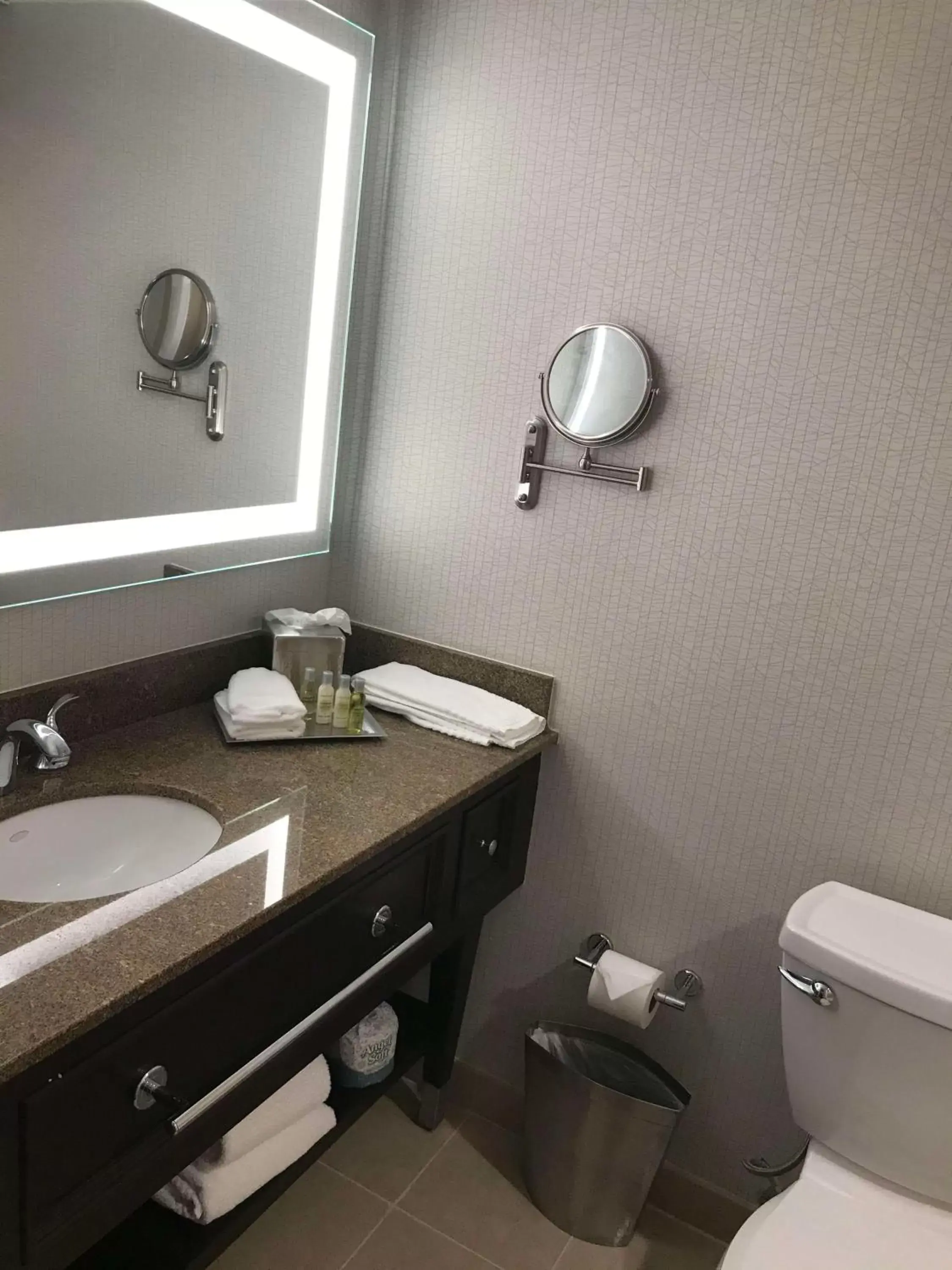 Bathroom in DoubleTree By Hilton Baltimore North Pikesville