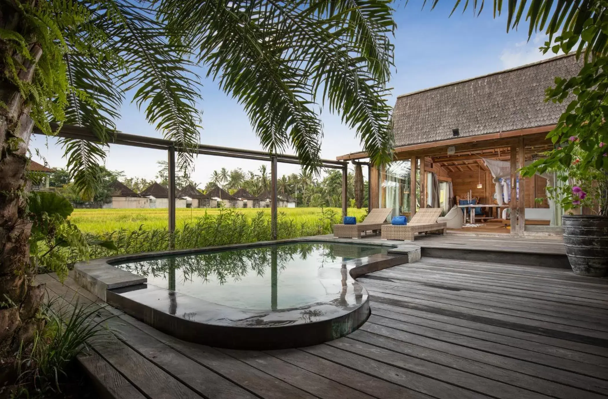 Swimming Pool in Blue Karma Dijiwa Ubud