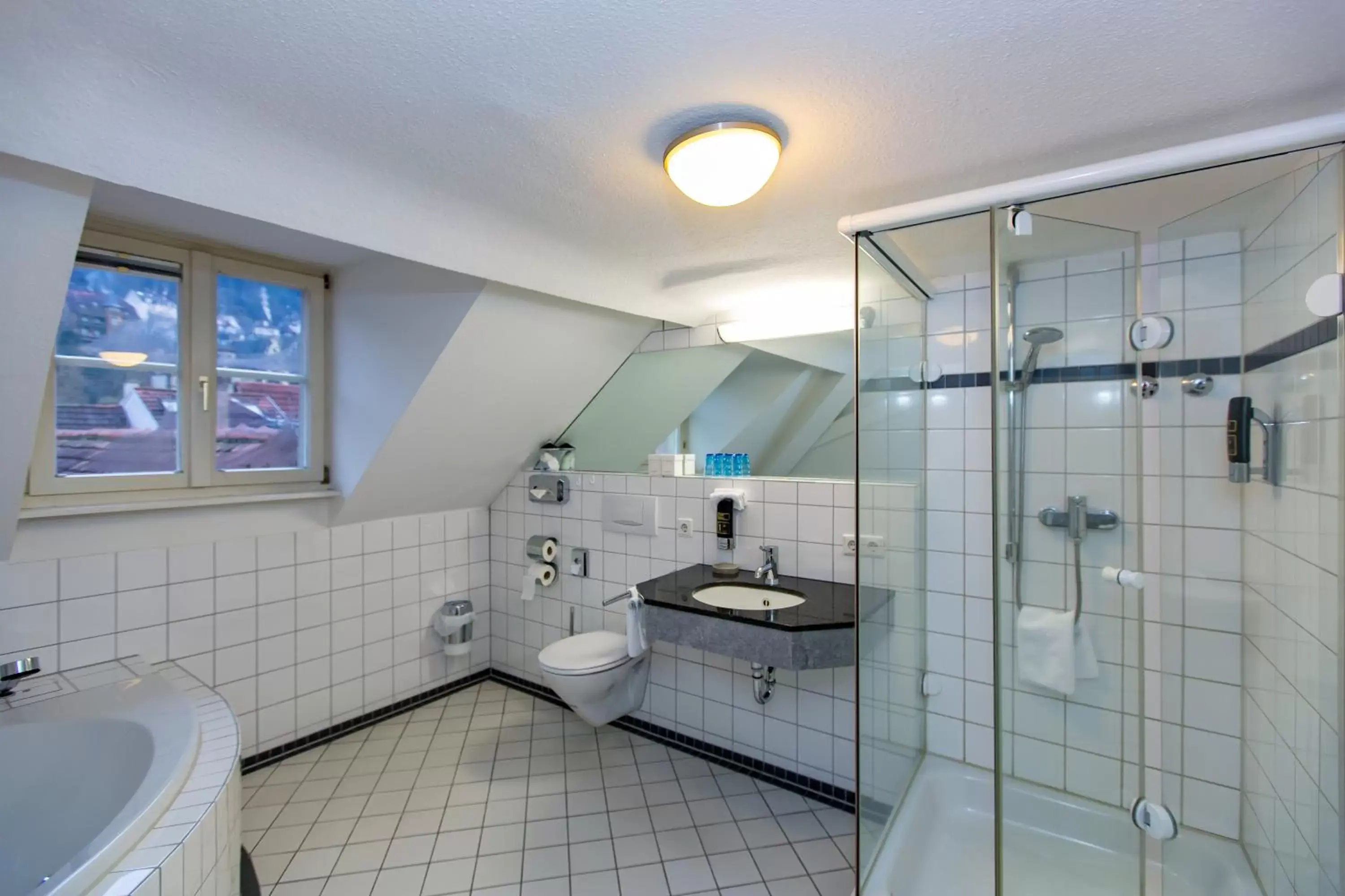 Shower, Bathroom in Hotel Goldener Falke