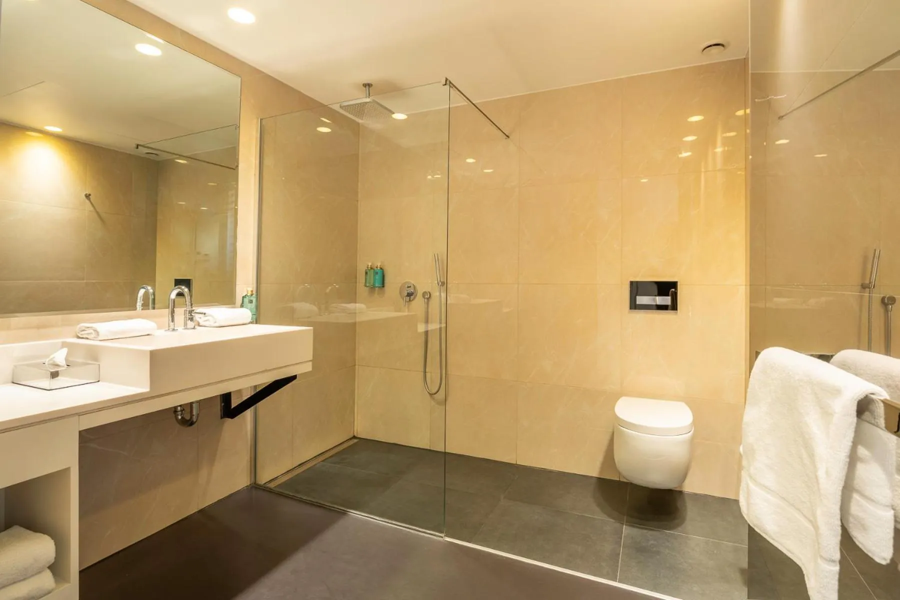 Shower in B-aparthotel Regent