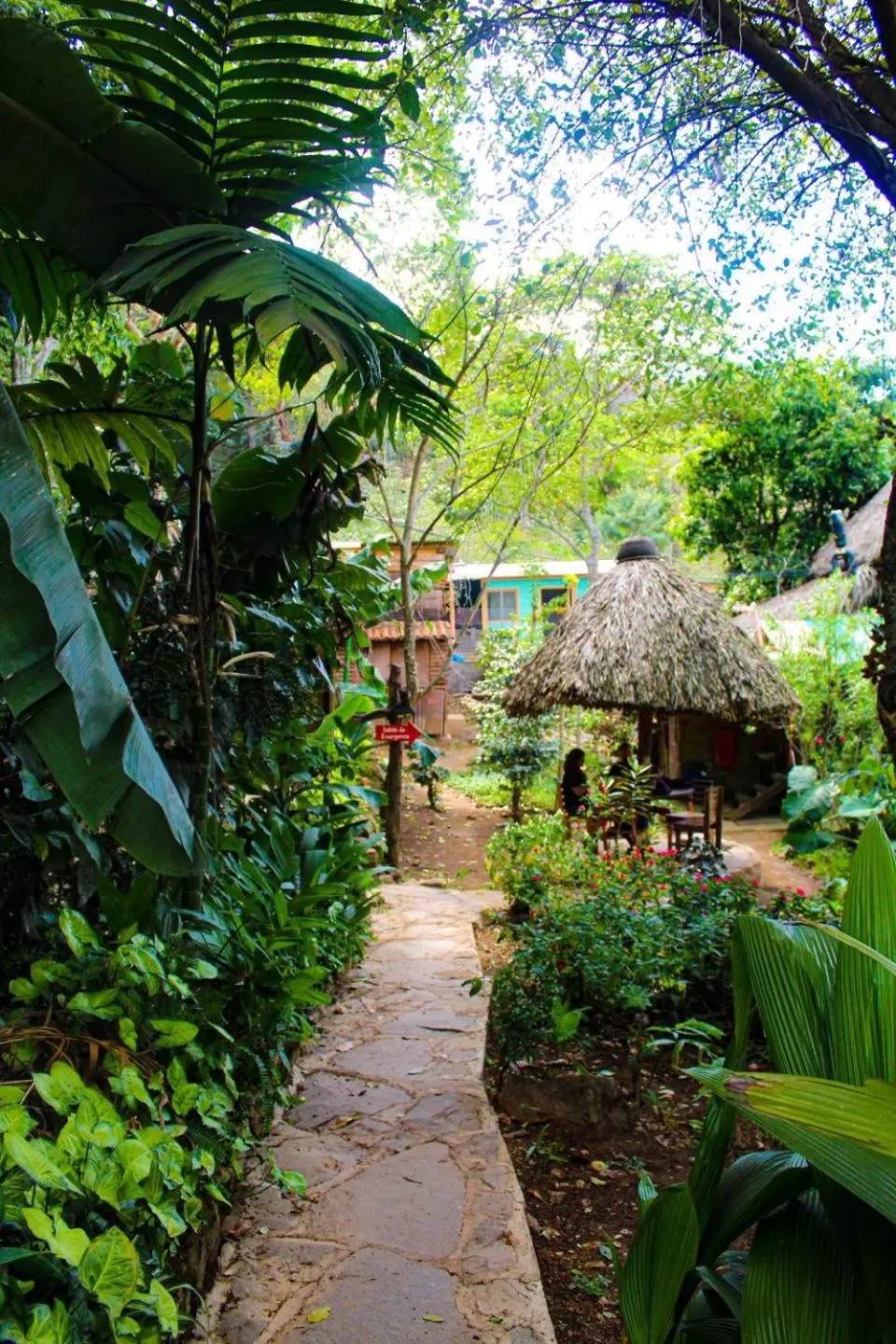 Garden in Eco-Hotel Mayachik
