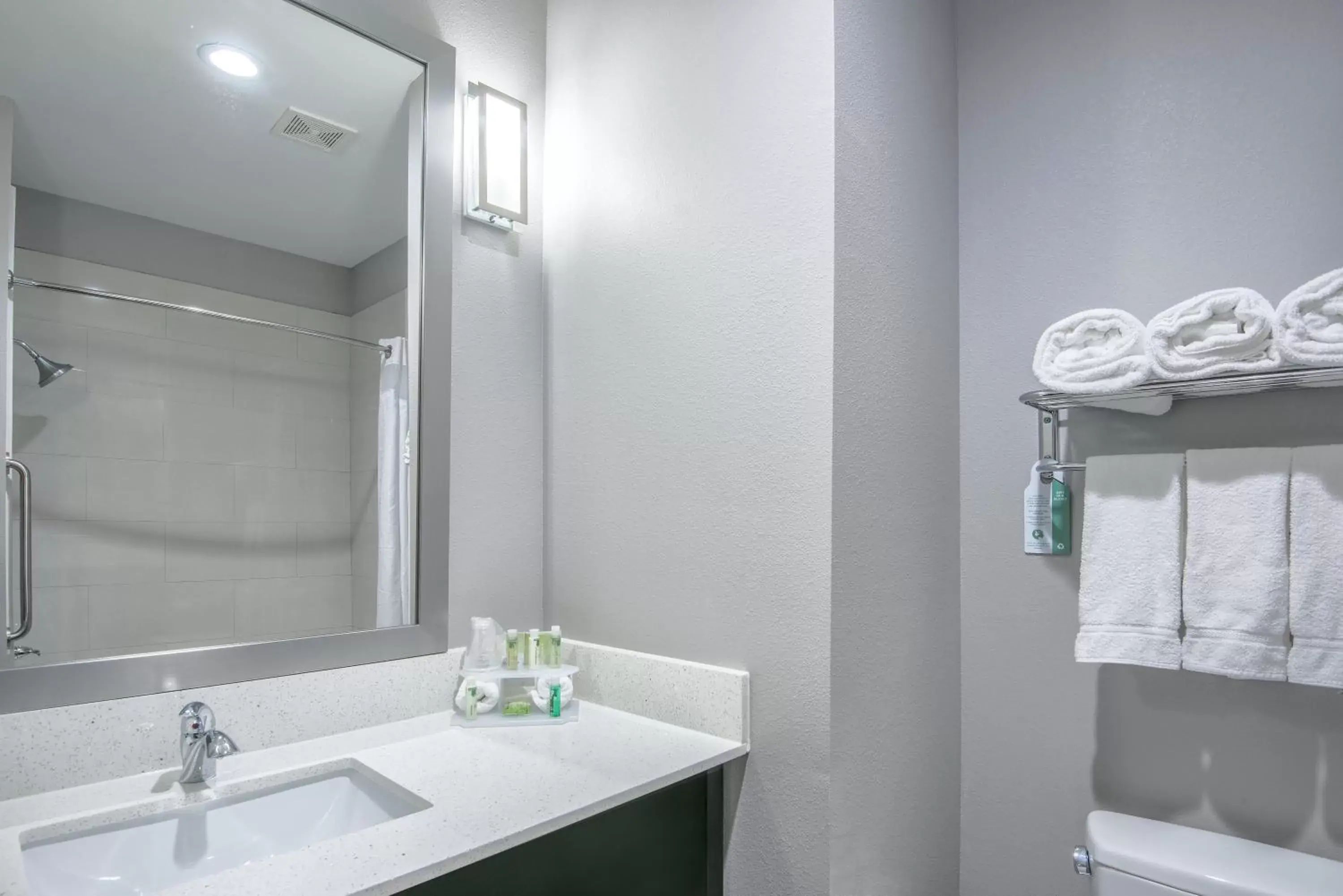 Bathroom in Holiday Inn Express and Suites Houston North - IAH Area, an IHG Hotel