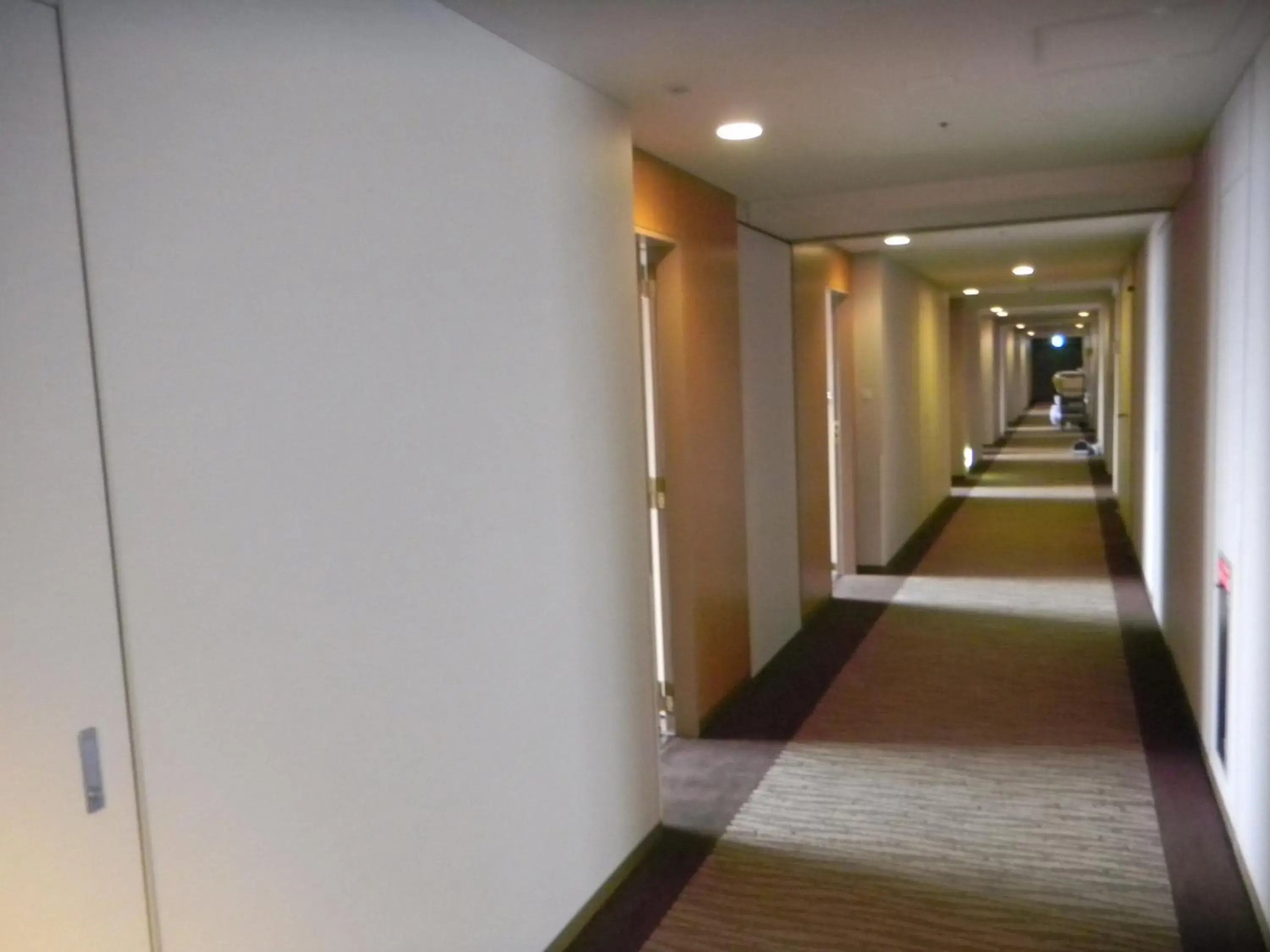 Photo of the whole room in Dai-ichi Hotel Ryogoku