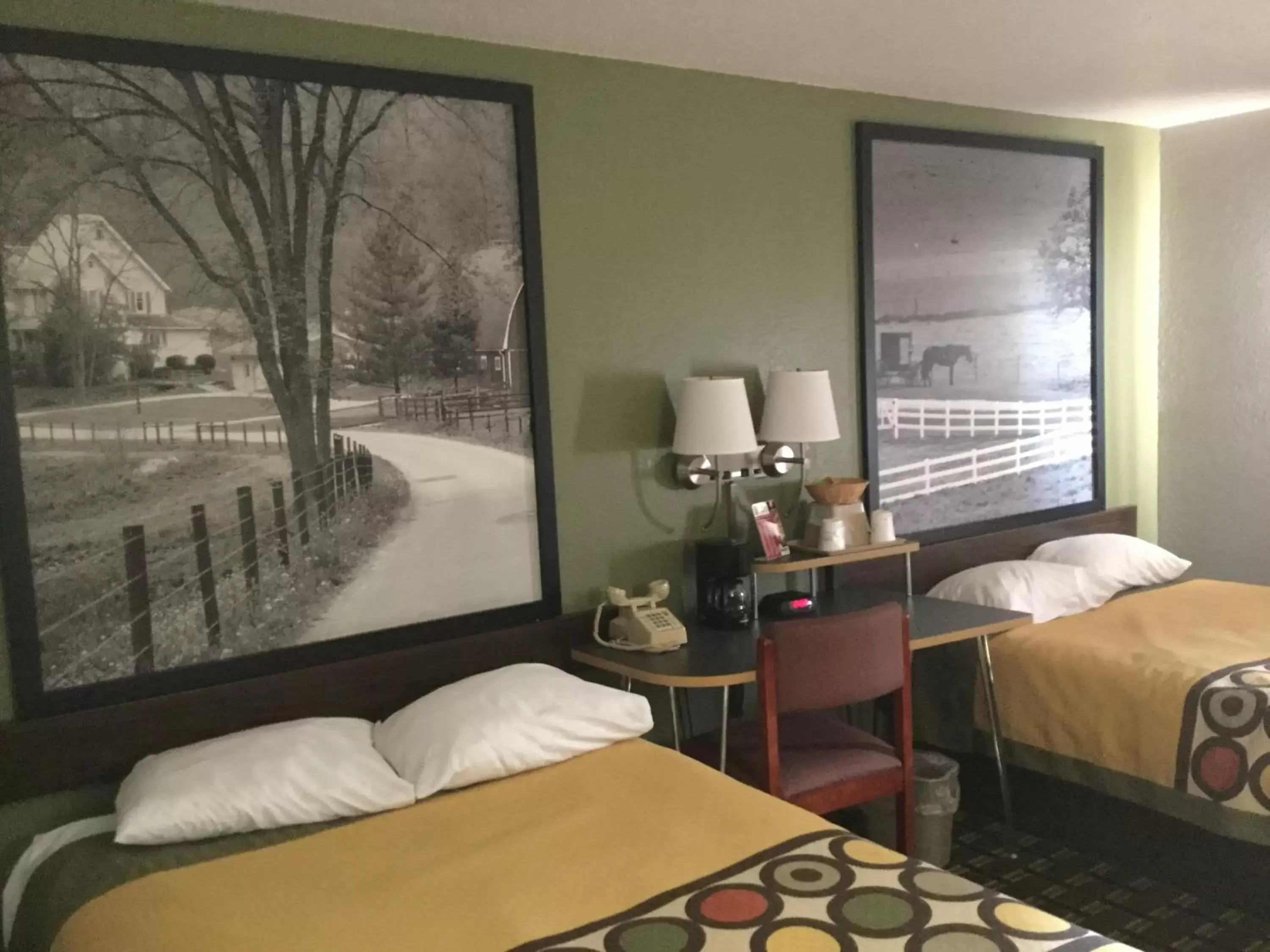 Bed in Super 8 by Wyndham Youngstown/Austintown
