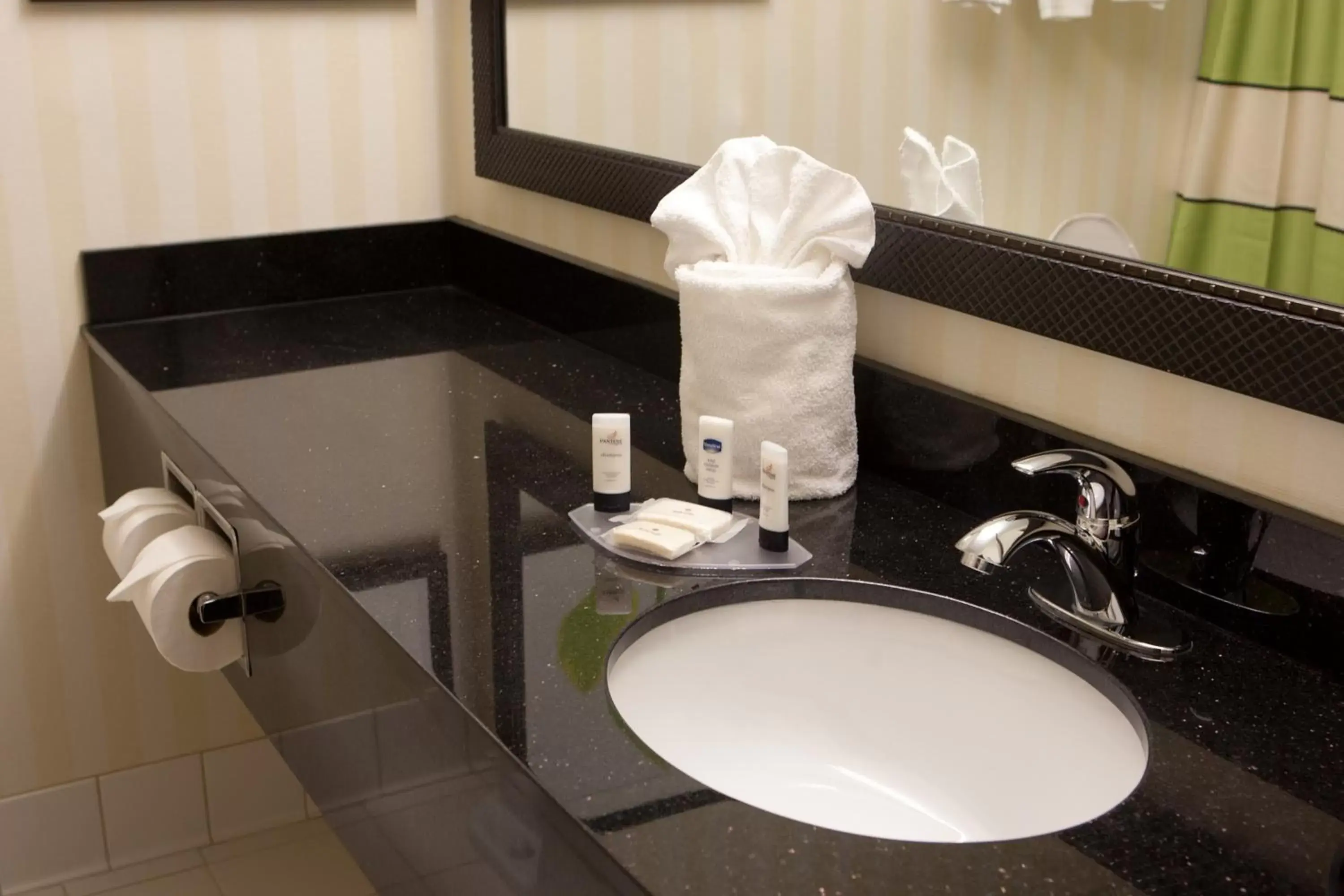 Bathroom in Fairfield Inn & Suites by Marriott Memphis East Galleria