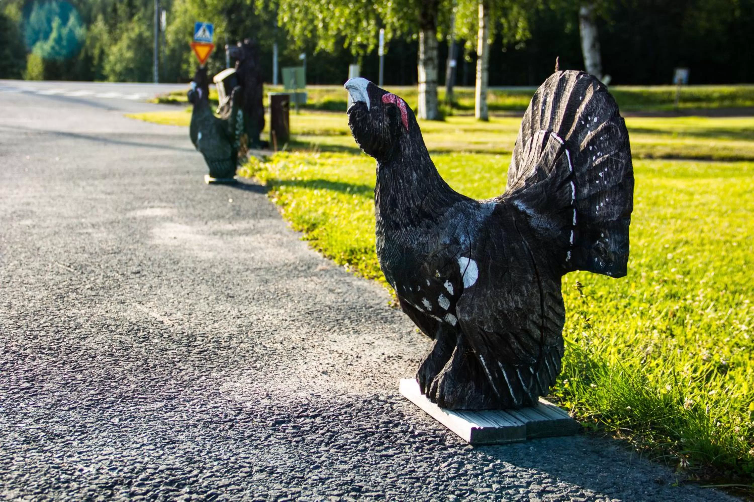 Garden in Motelli Rovaniemi