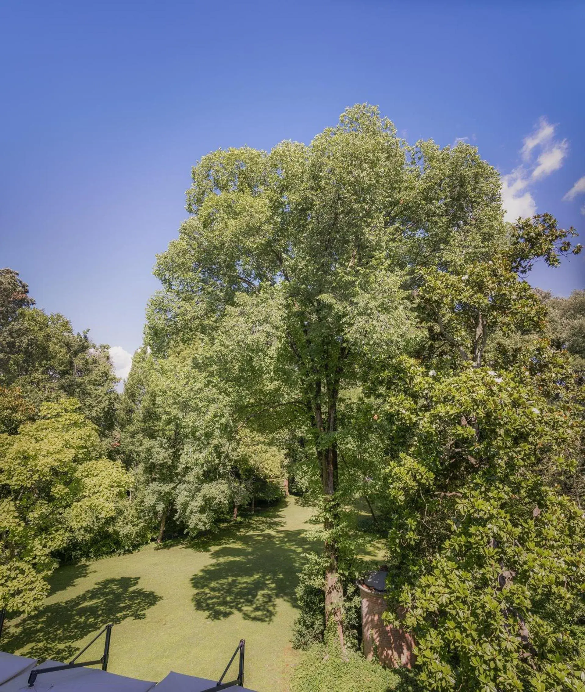 Garden in Hotel Villa La Principessa